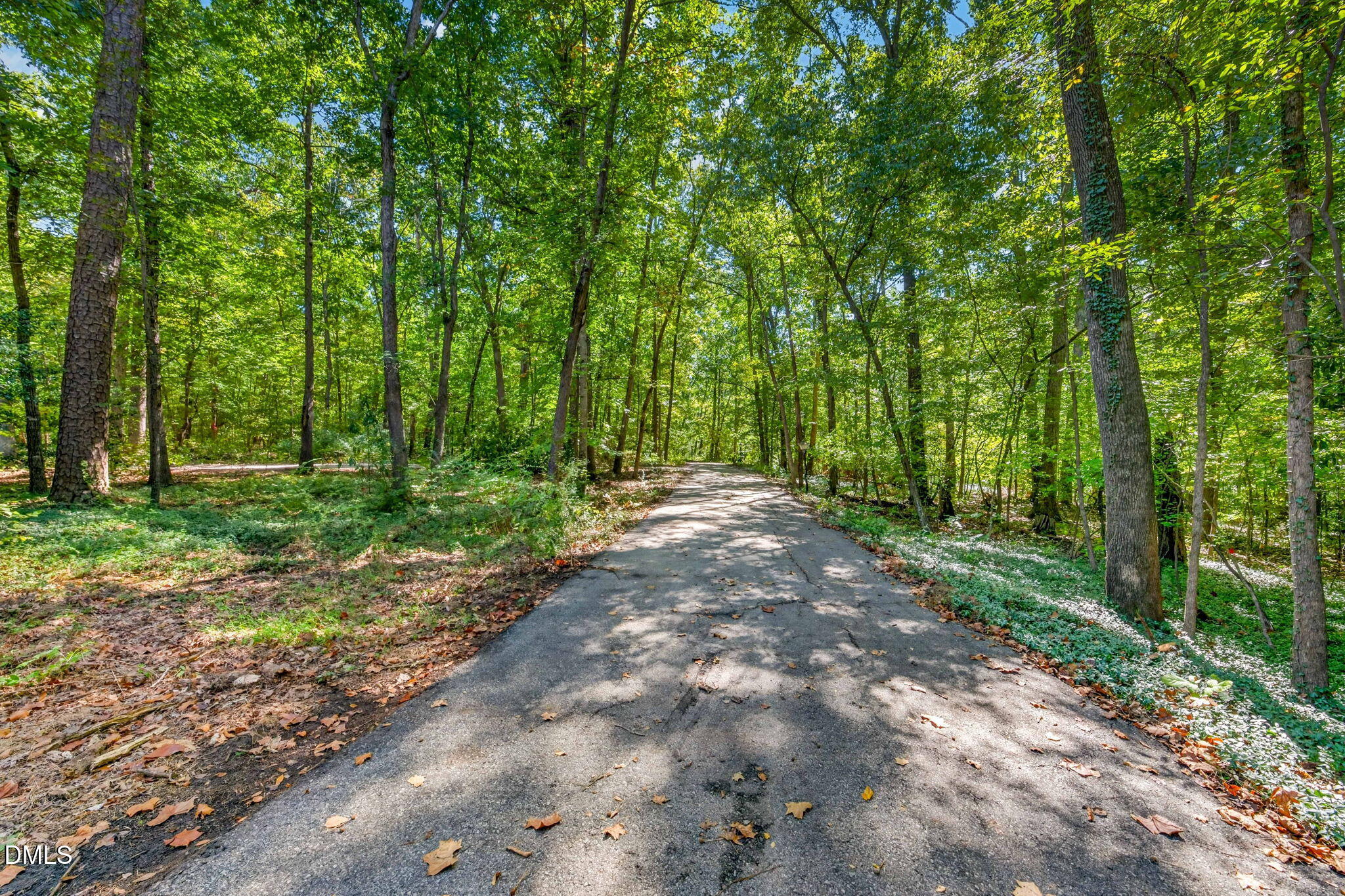 1516 Pinecrest Road Property Photo 5