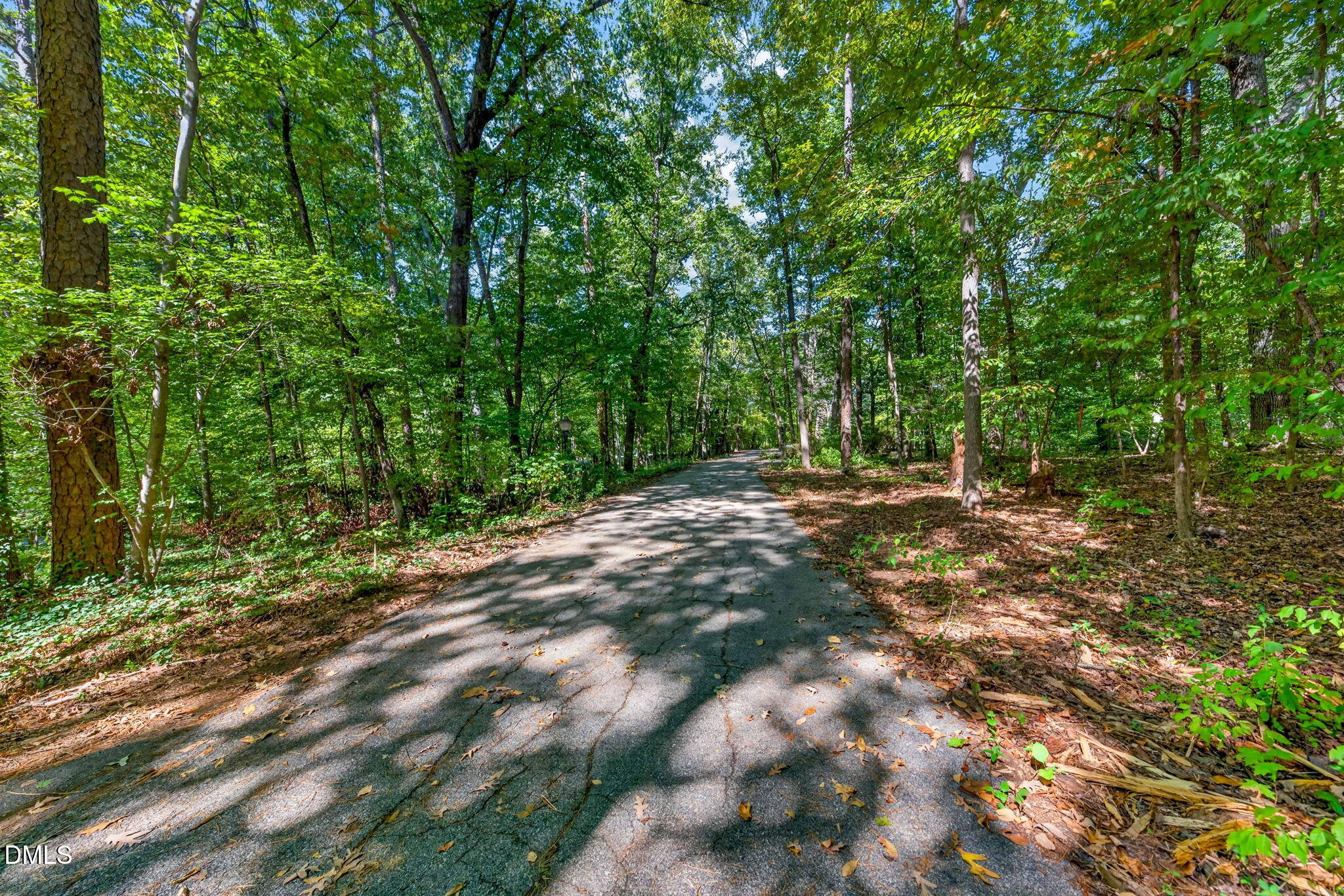 1516 Pinecrest Road Property Photo 6