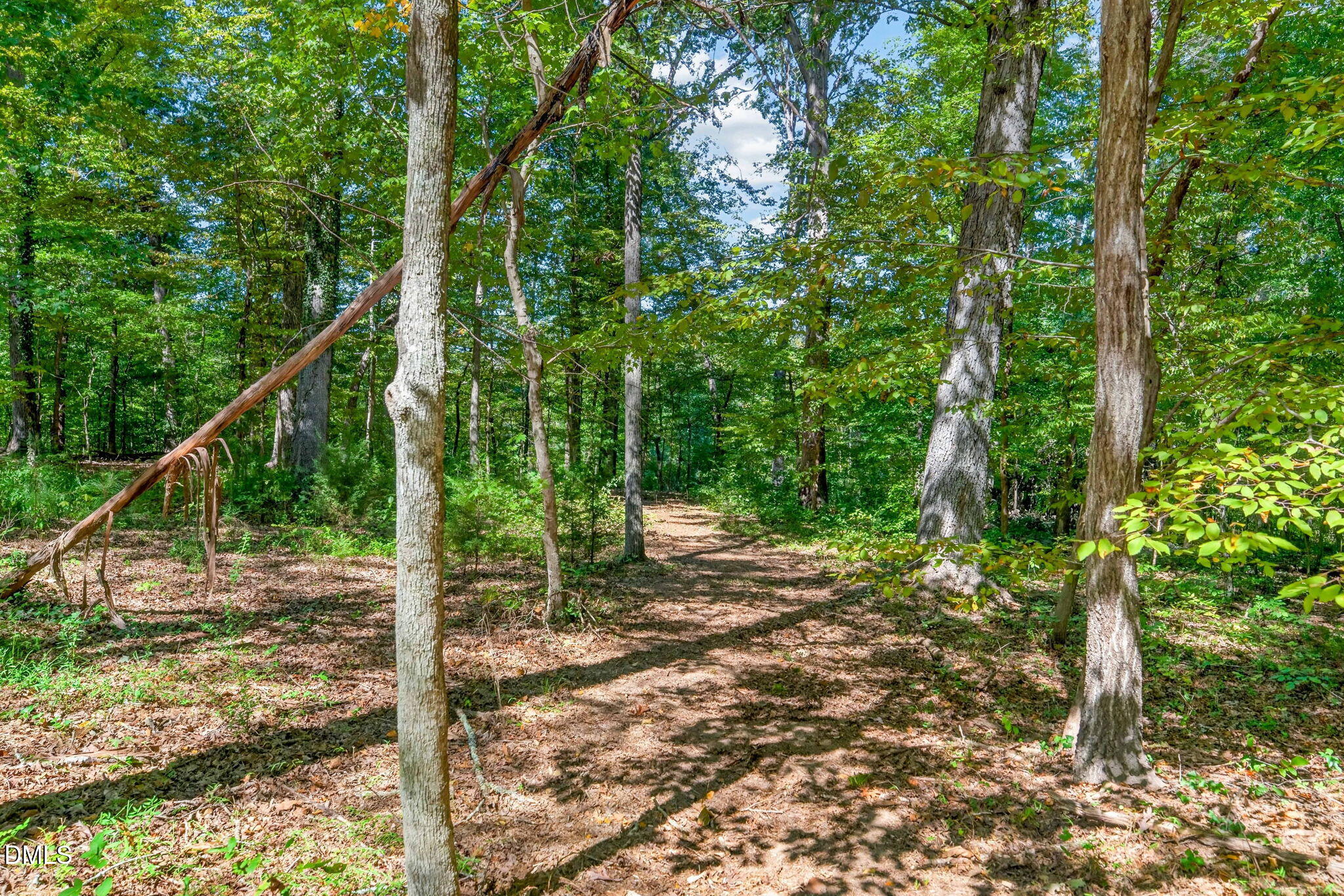 1516 Pinecrest Road Property Photo 13