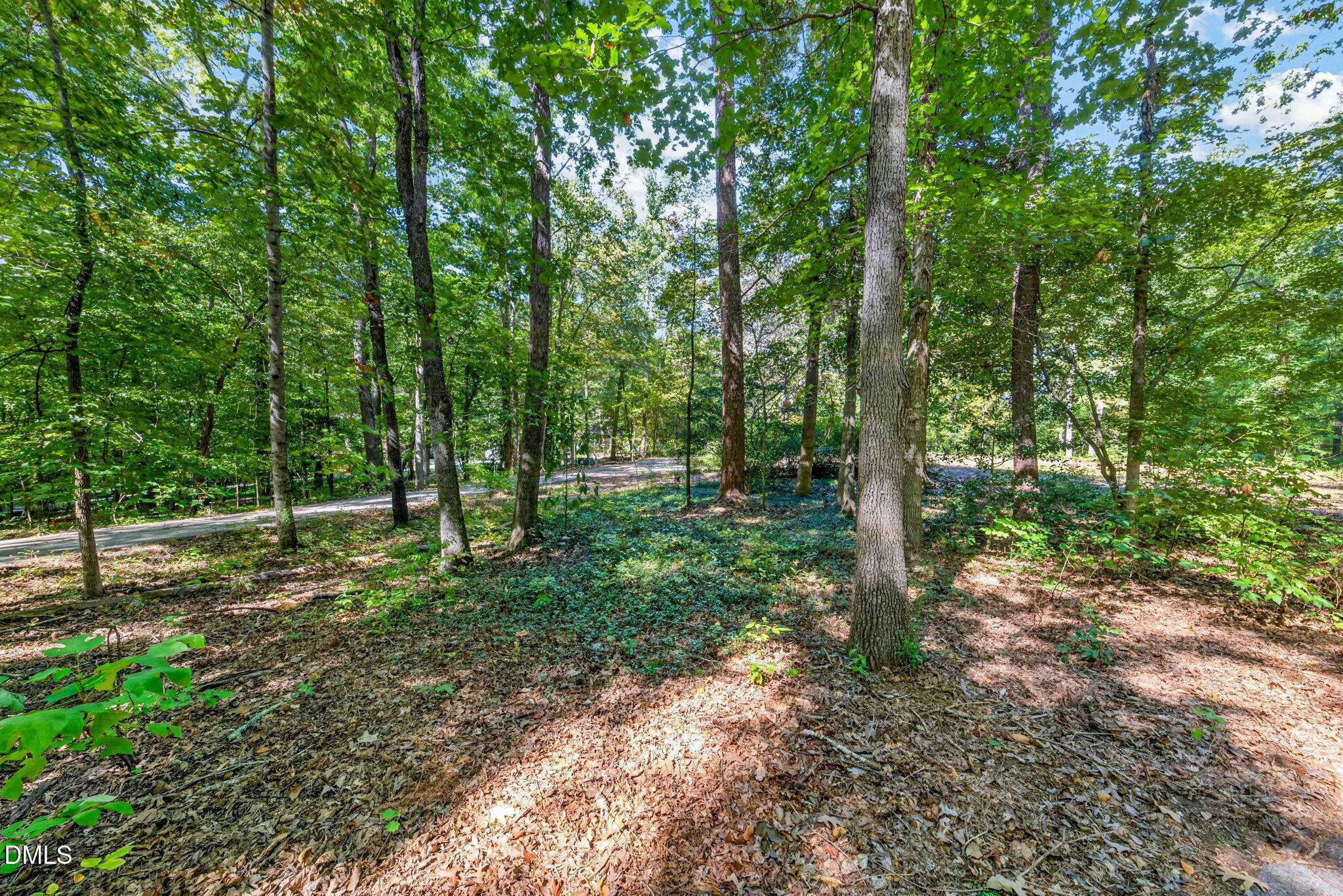 1516 Pinecrest Road Property Photo 14