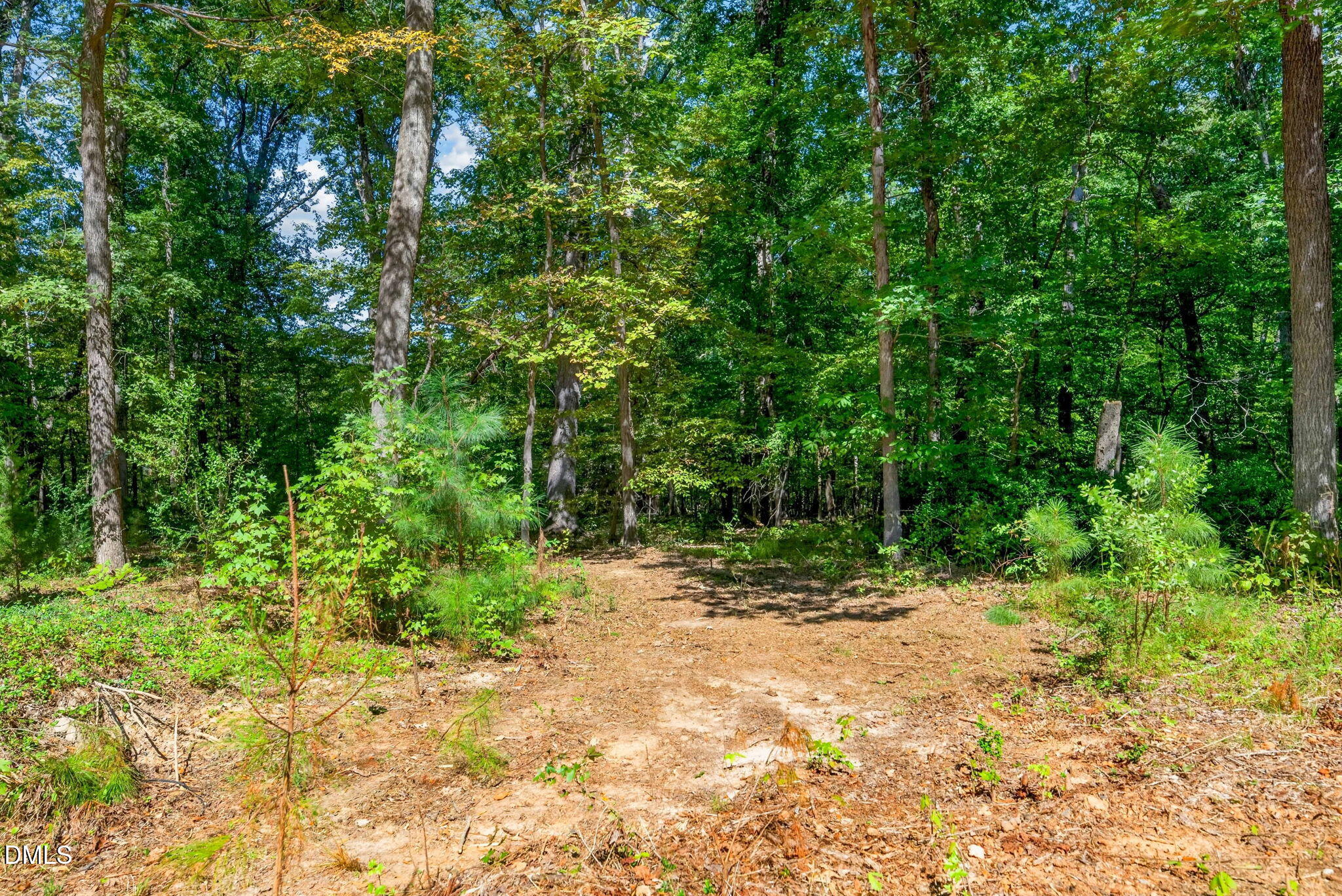 1516 Pinecrest Road Property Photo 16