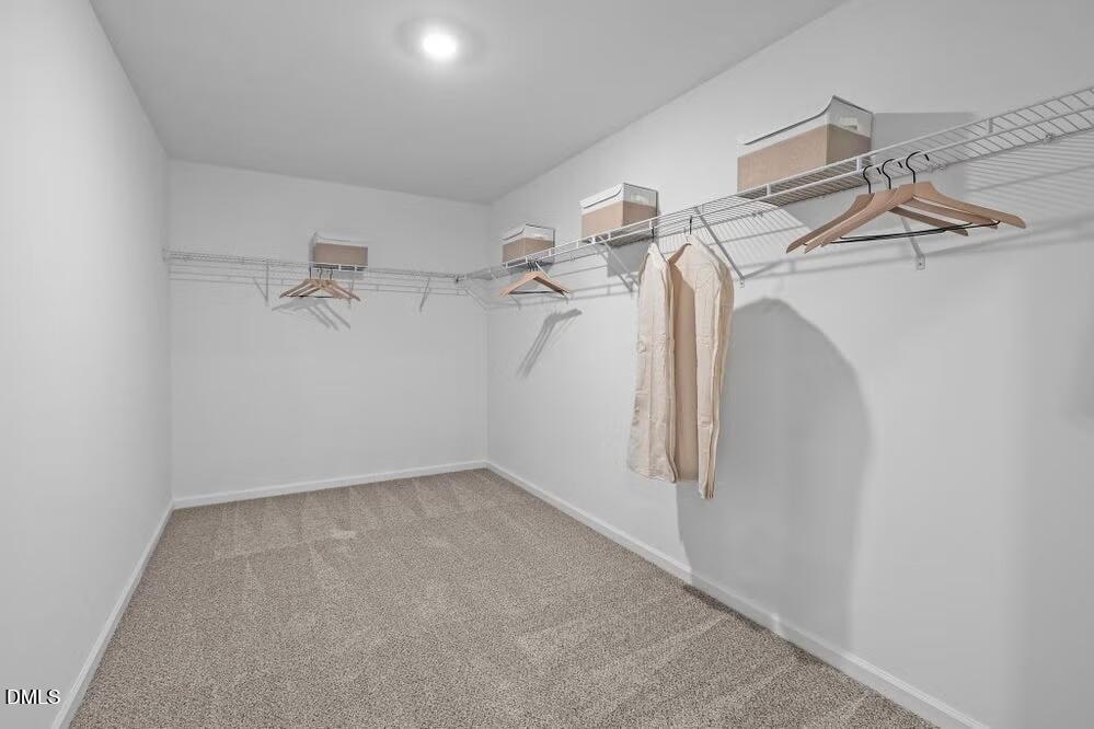 133 Shiloh Wds Circle Property Photo 22