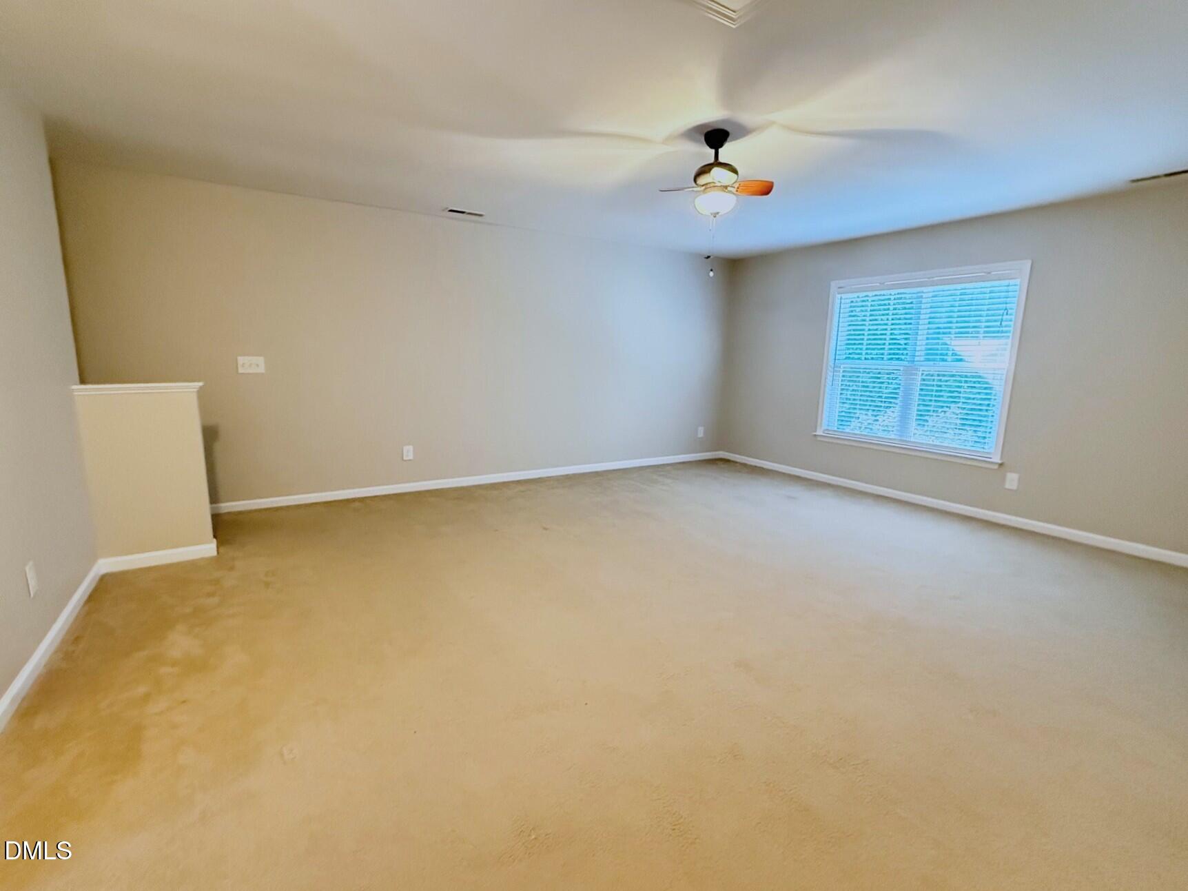 163 Deacon Ridge Street Property Photo 21