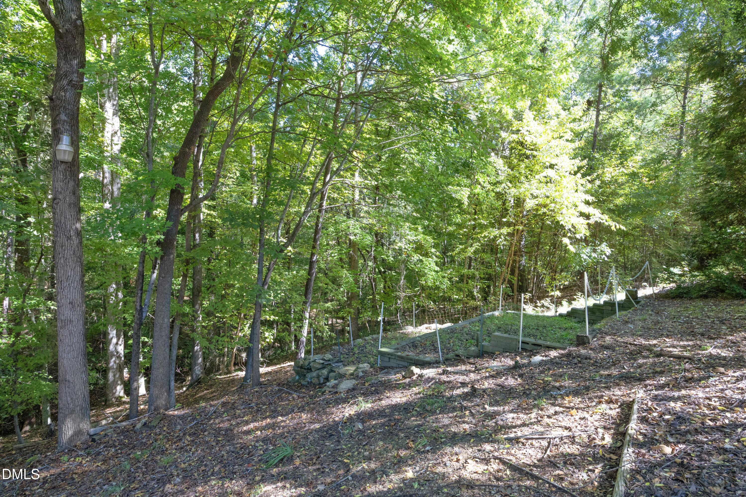 5117 Tera Springs Drive Property Photo 50