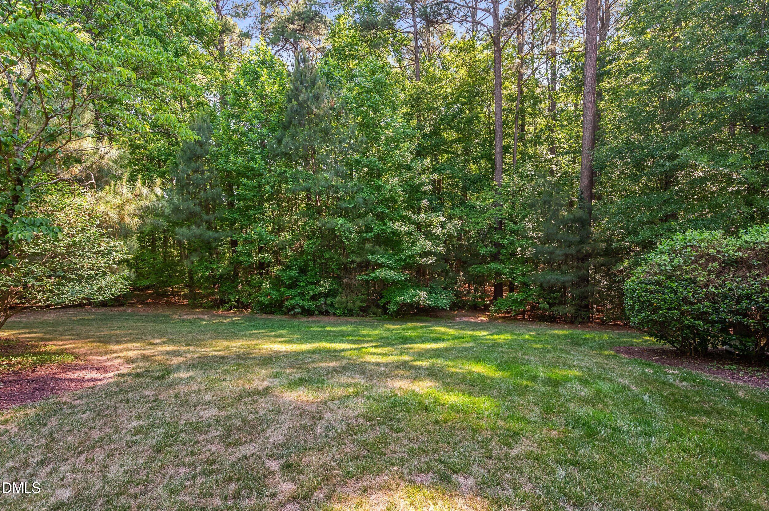 8488 Falkirk Ridge Court Property Photo 60