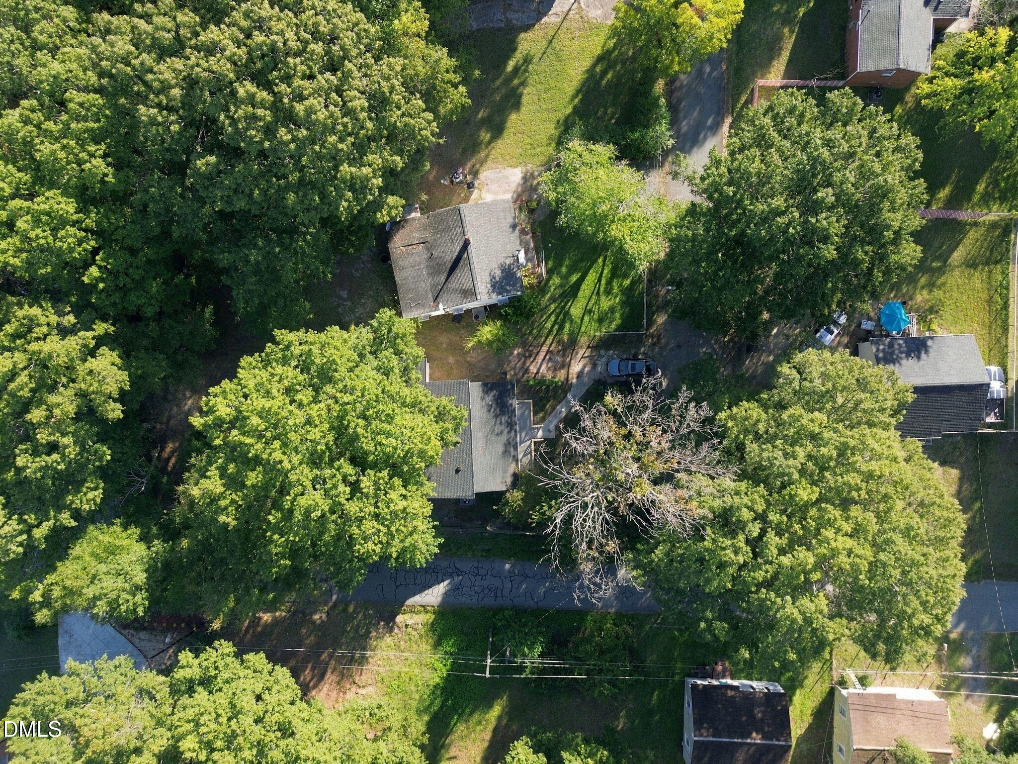 1002 Louis Street Property Photo 28