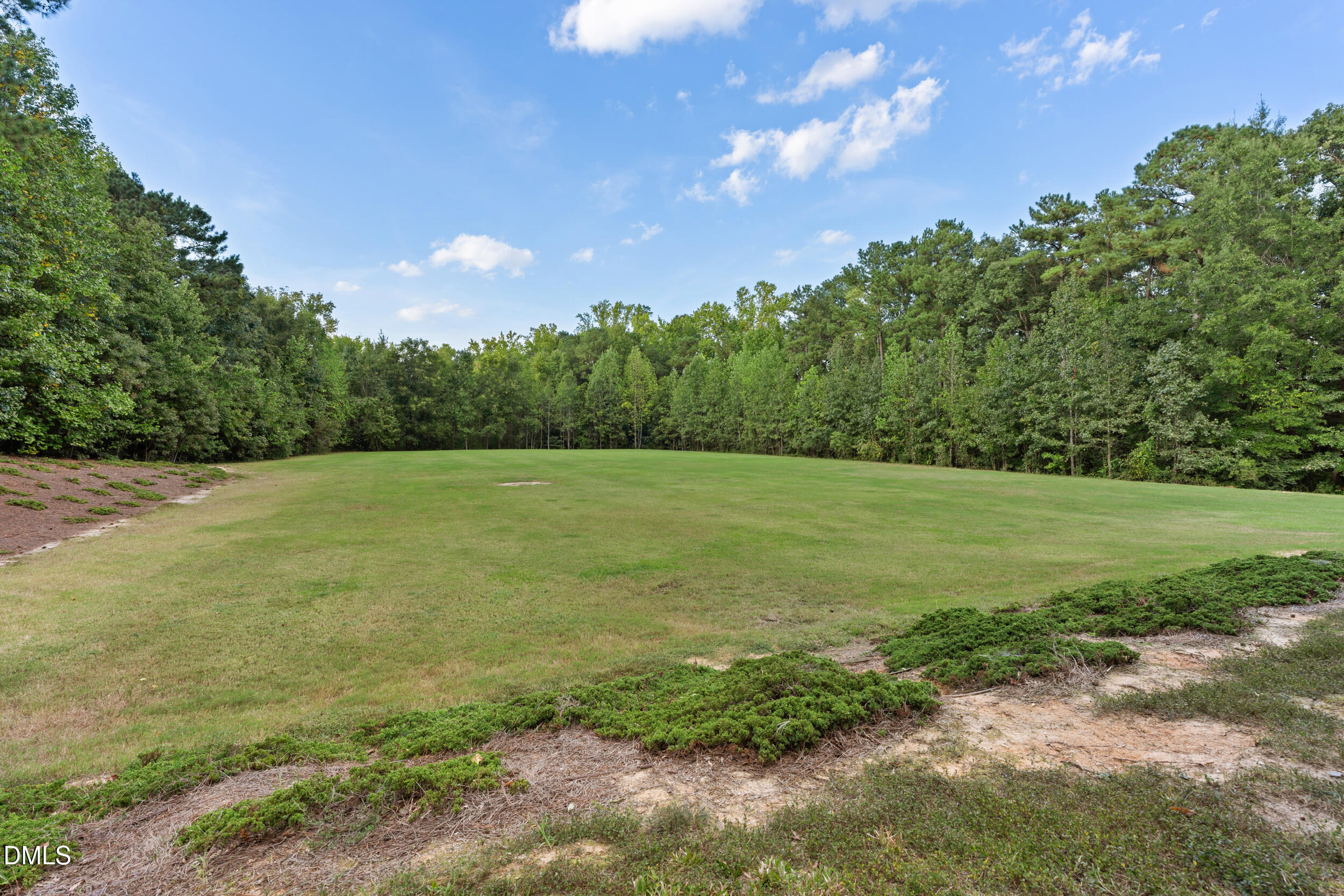 2116 Old Rosebud Drive Property Photo 59