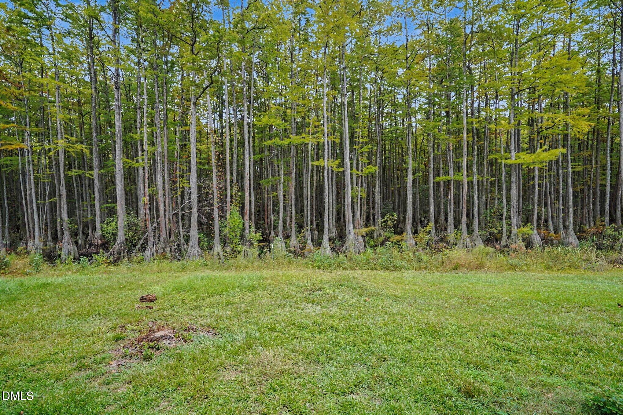219 Diamond Point Trail Property Photo 2