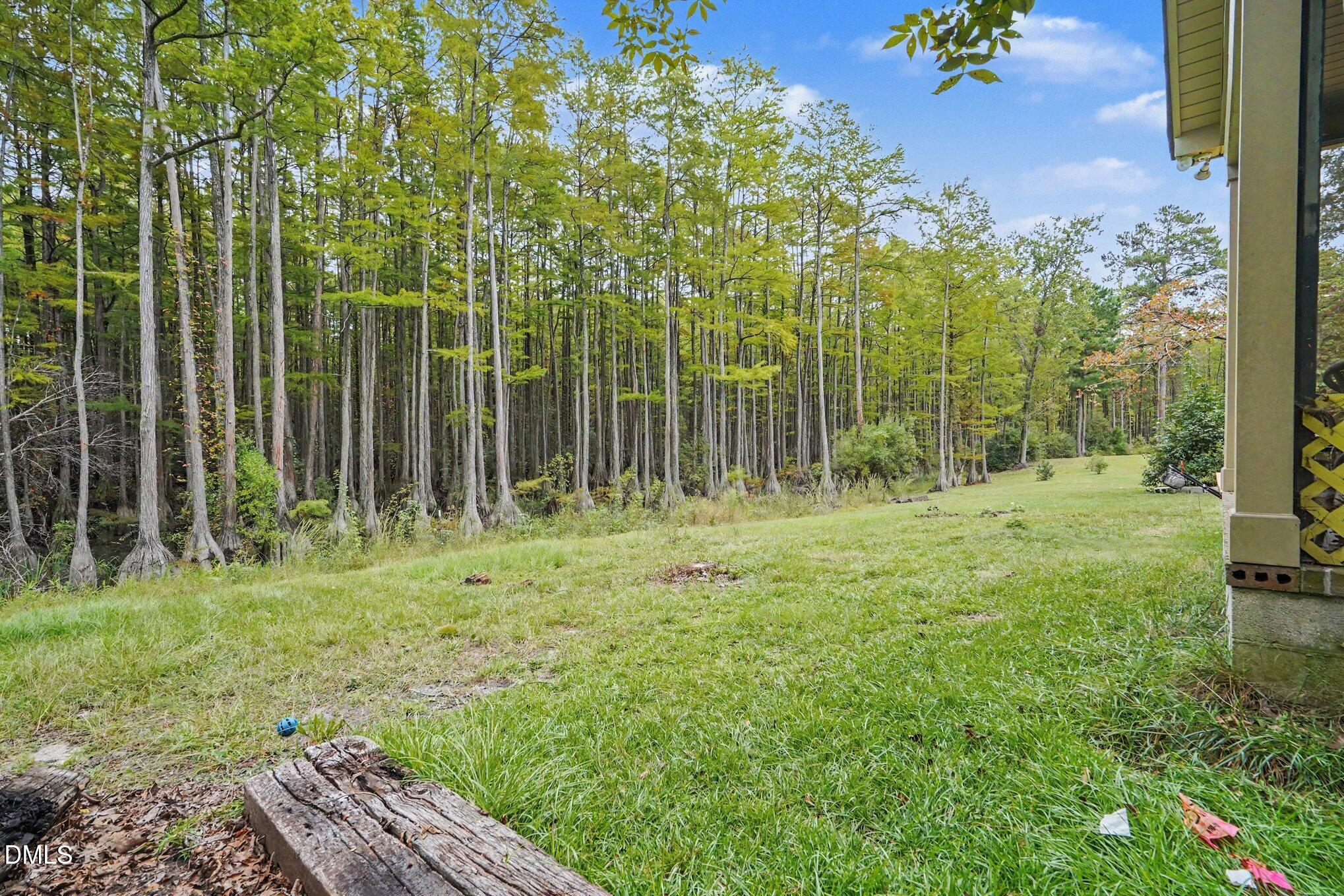 219 Diamond Point Trail Property Photo 25