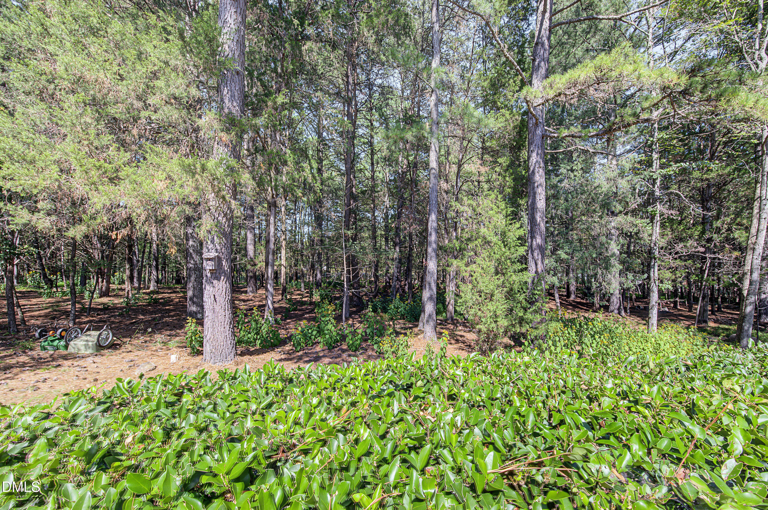 629 Red Cedar Circle Property Photo 47