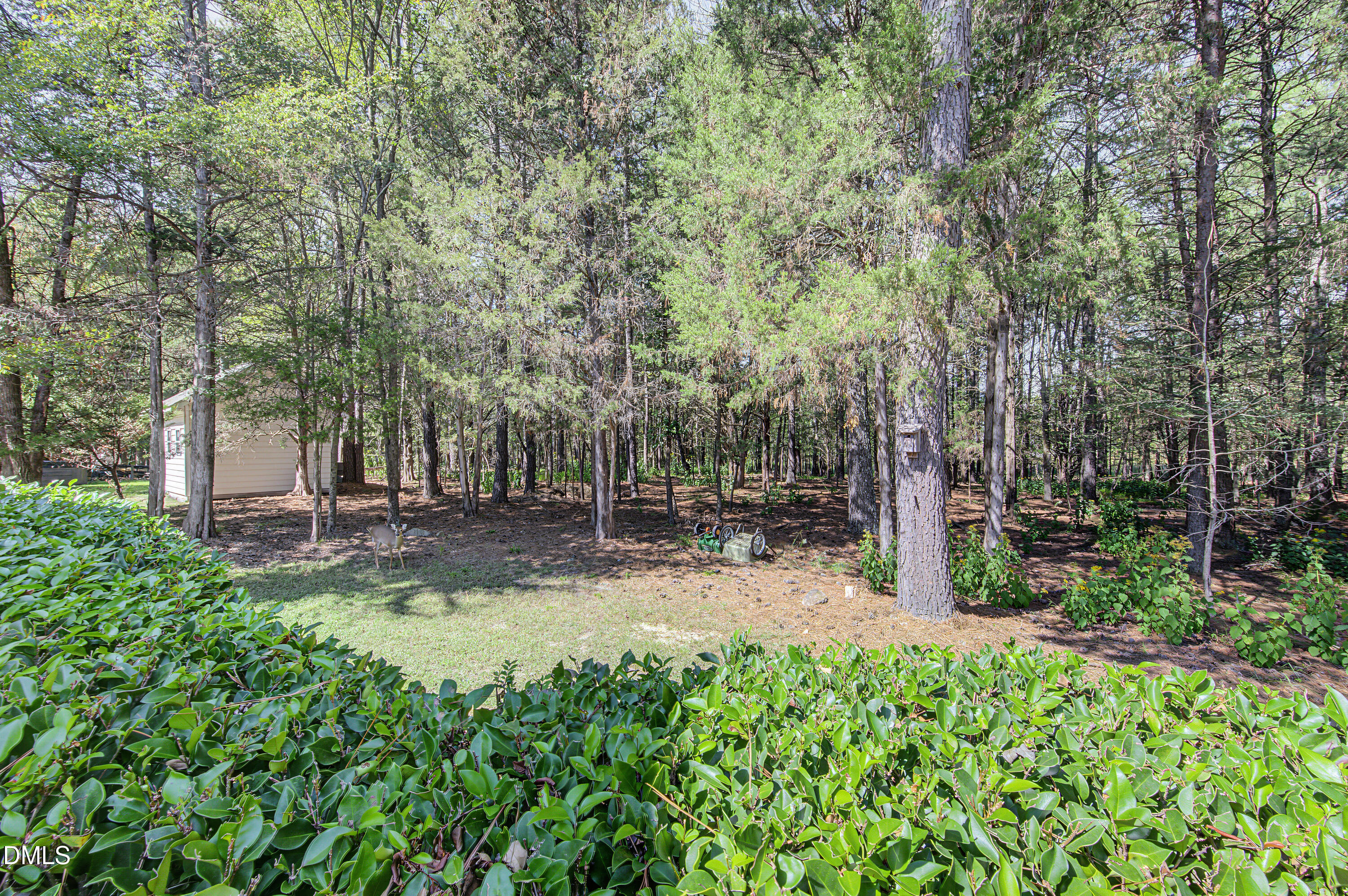 629 Red Cedar Circle Property Photo 48