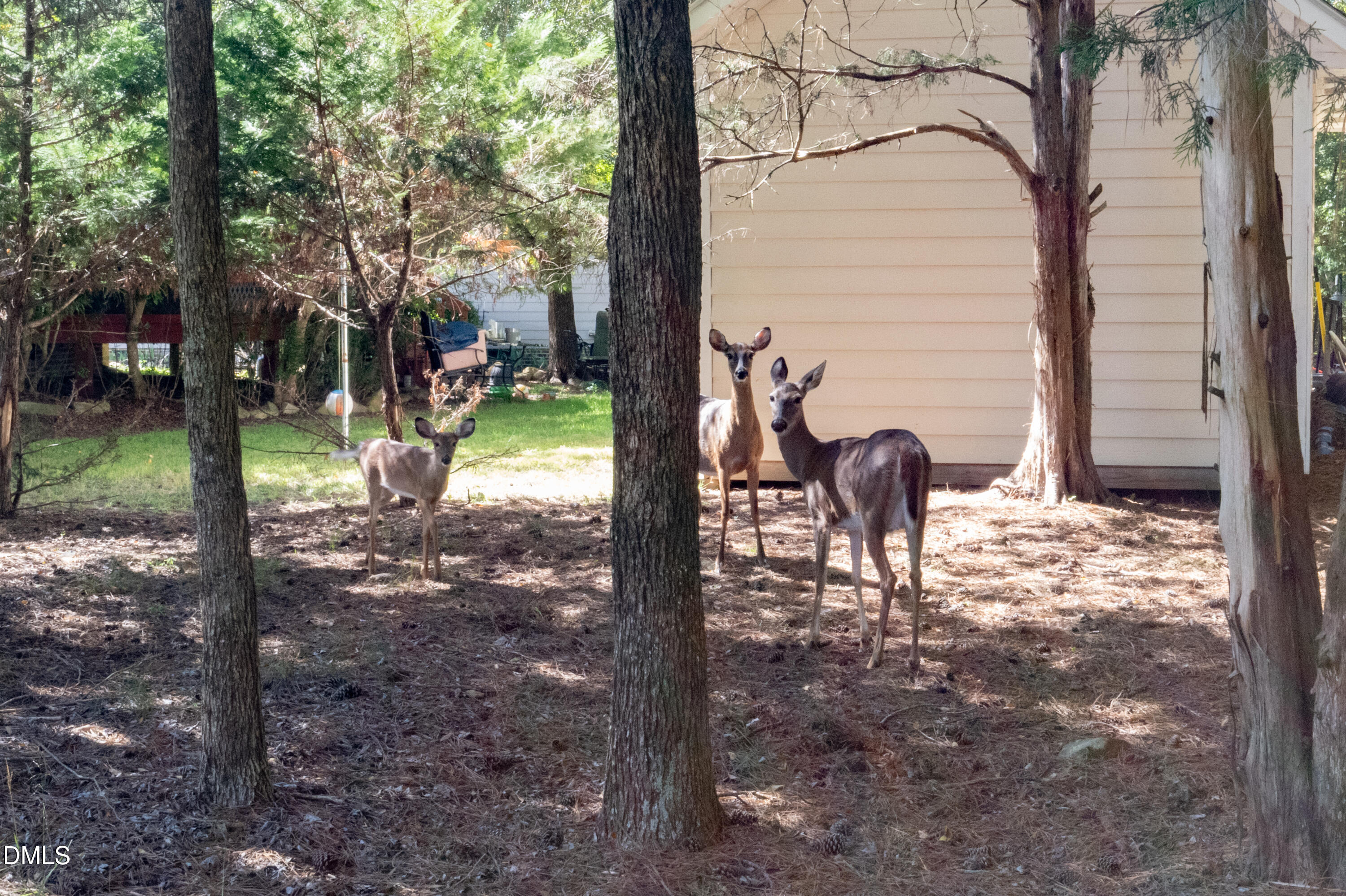 629 Red Cedar Circle Property Photo 51