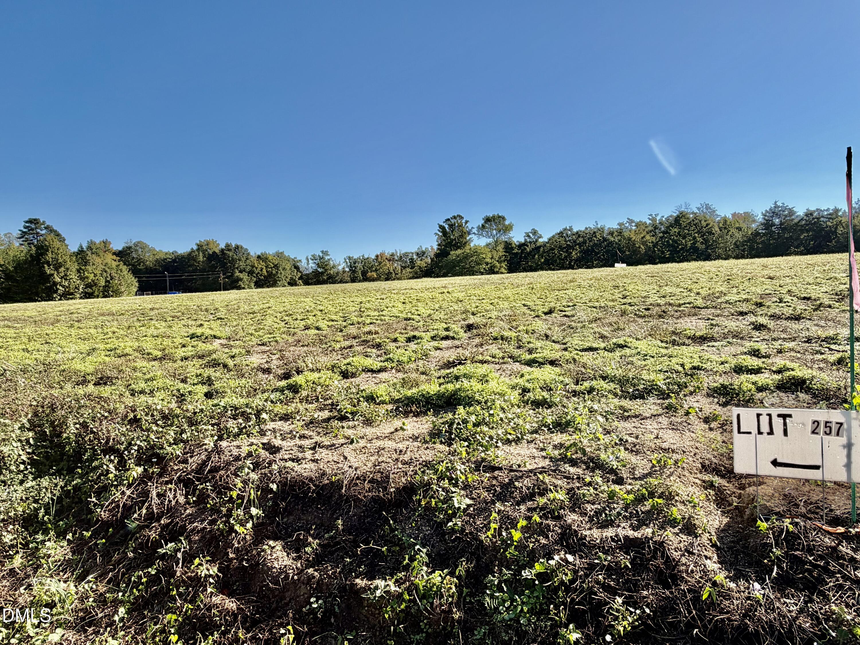 5.71 Acres Snipes Road Property Photo 3