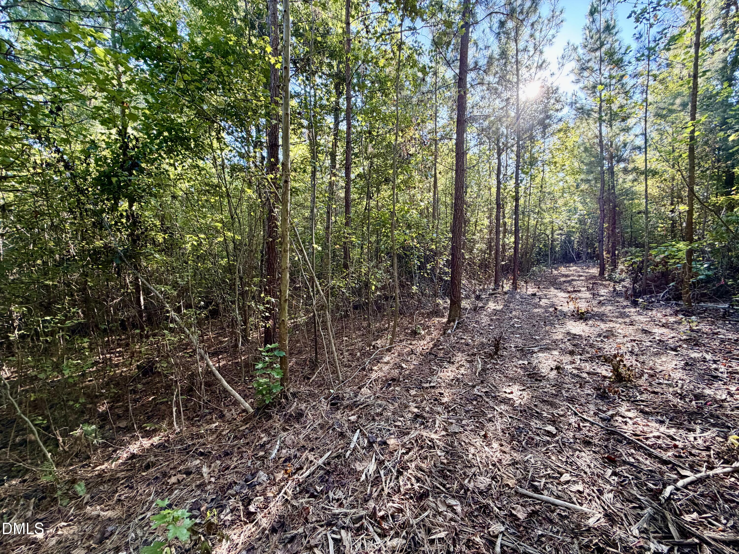 5.71 Acres Snipes Road Property Photo 6
