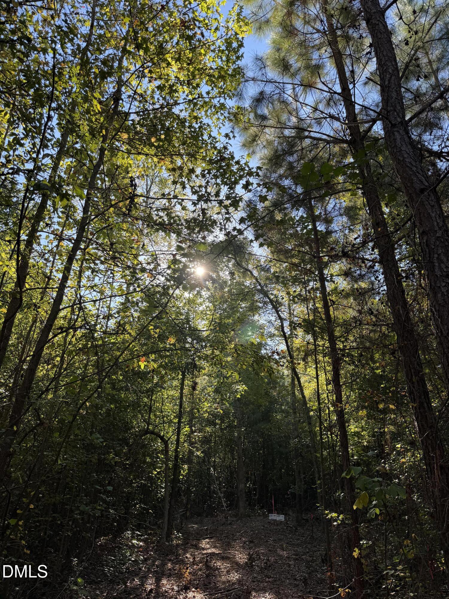 5.71 Acres Snipes Road Property Photo 7
