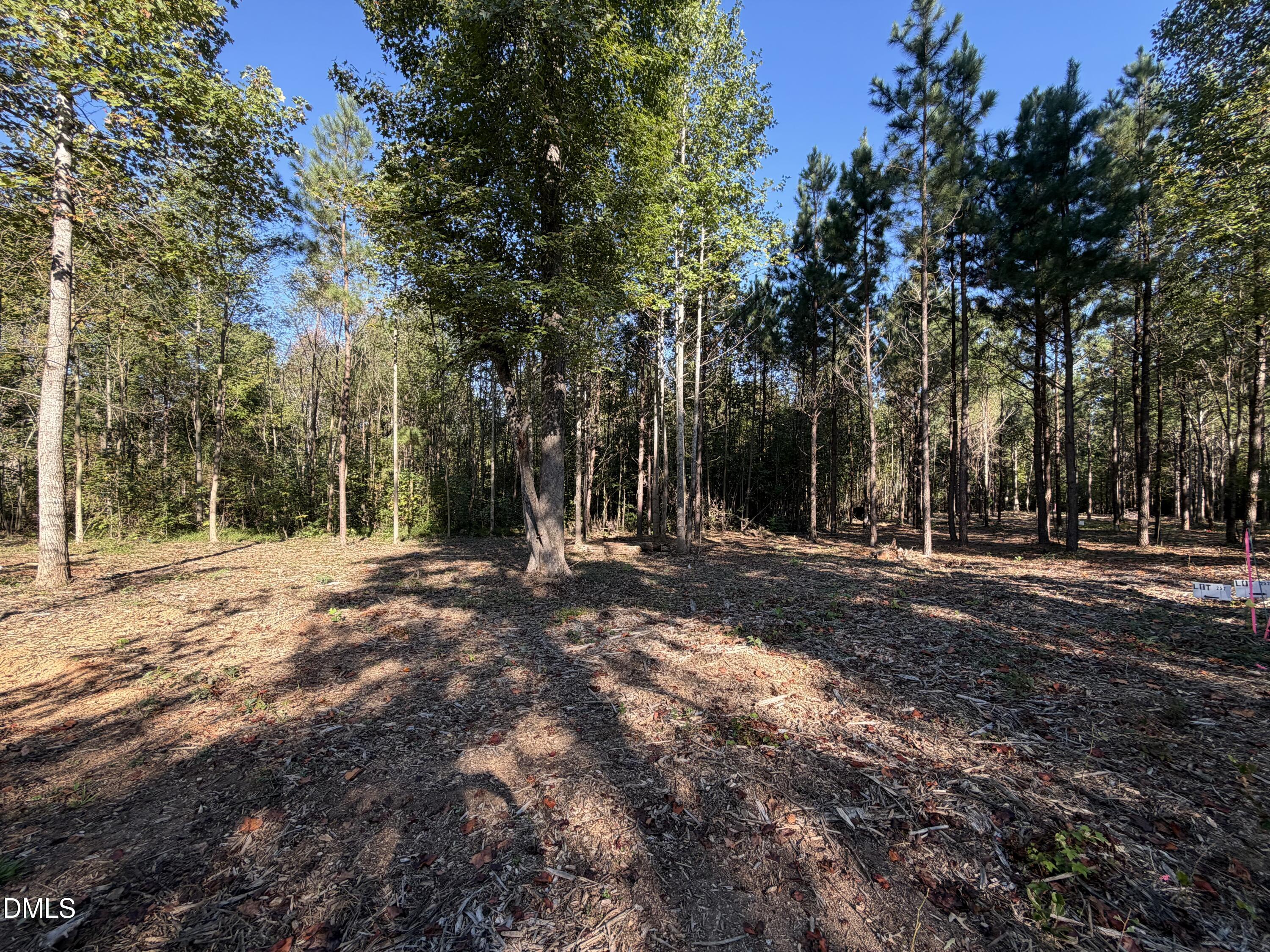 5.71 Acres Snipes Road Property Photo 8