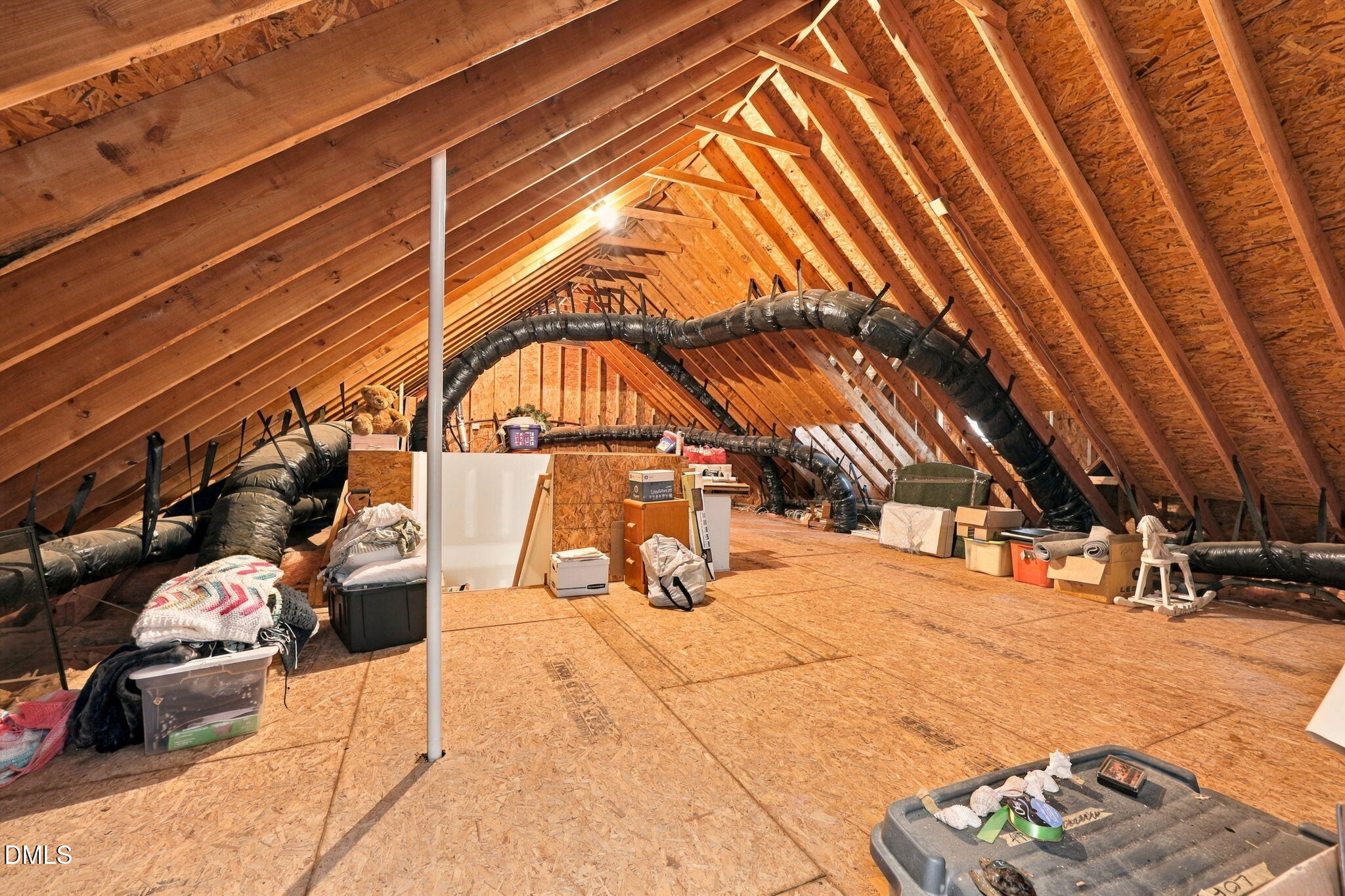 3800 Orange Cosmos Avenue Property Photo 46