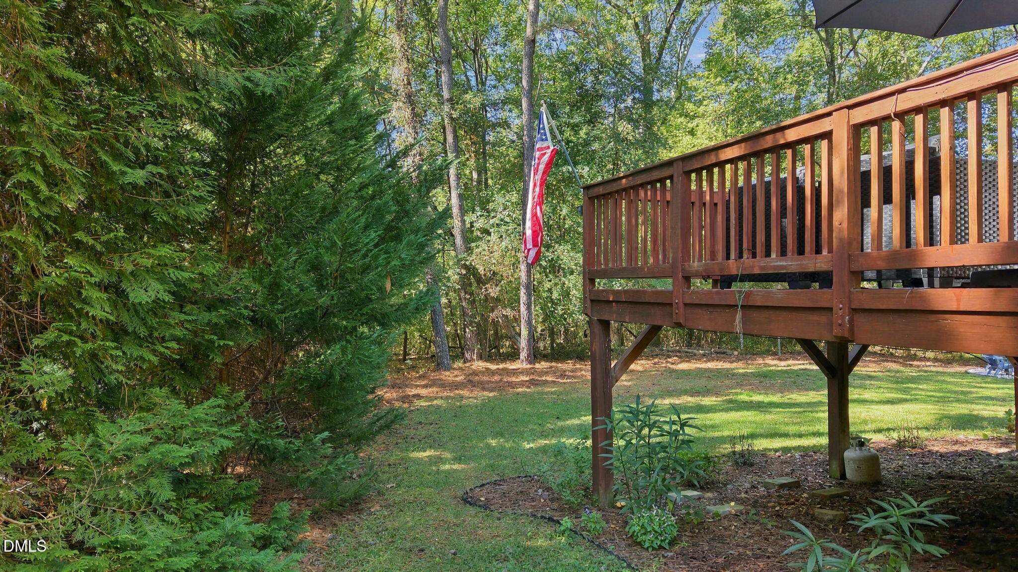3800 Orange Cosmos Avenue Property Photo 47