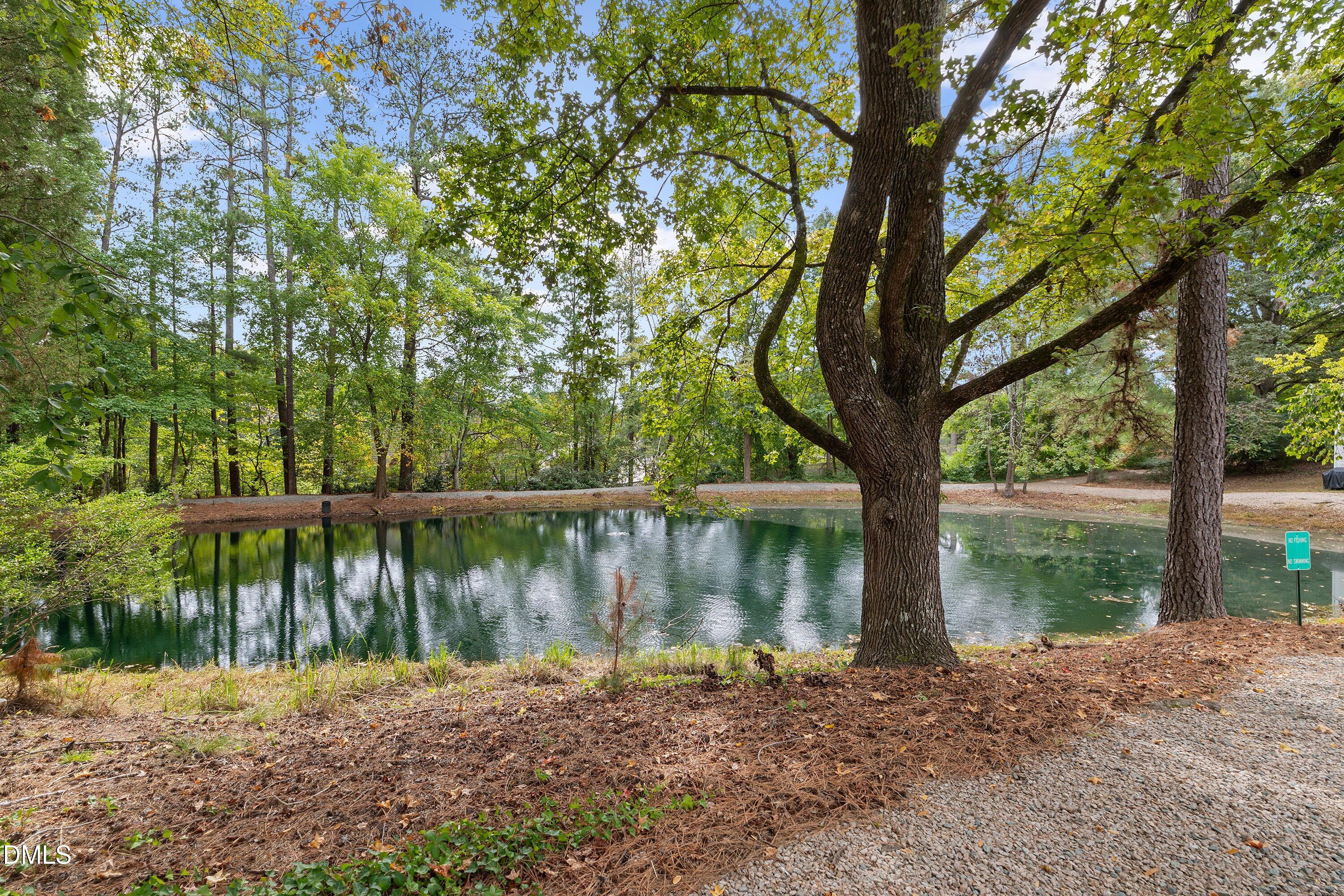 214 Bridgepath Drive Property Photo 38