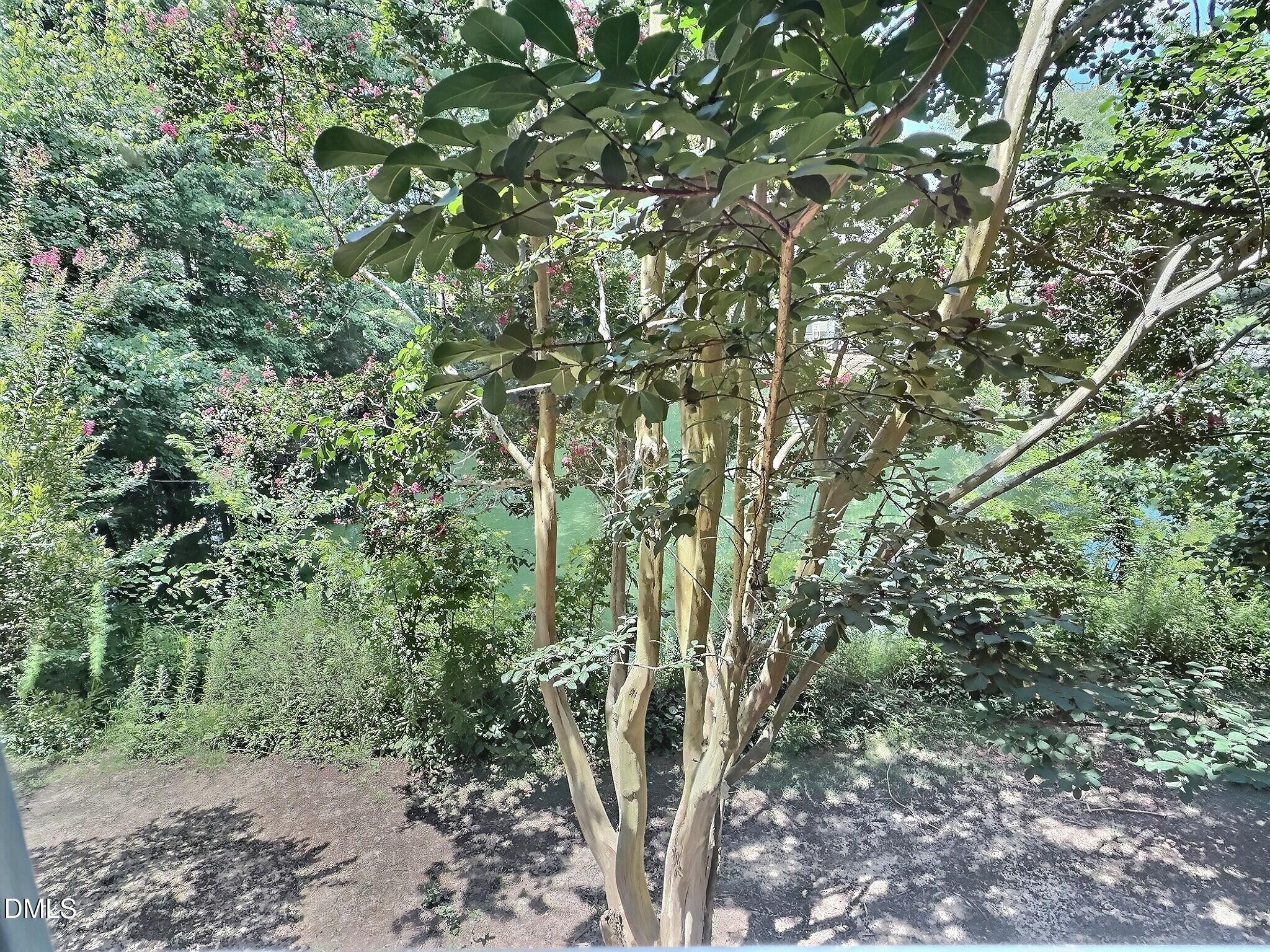 109 Weatherhill Point Property Photo 29