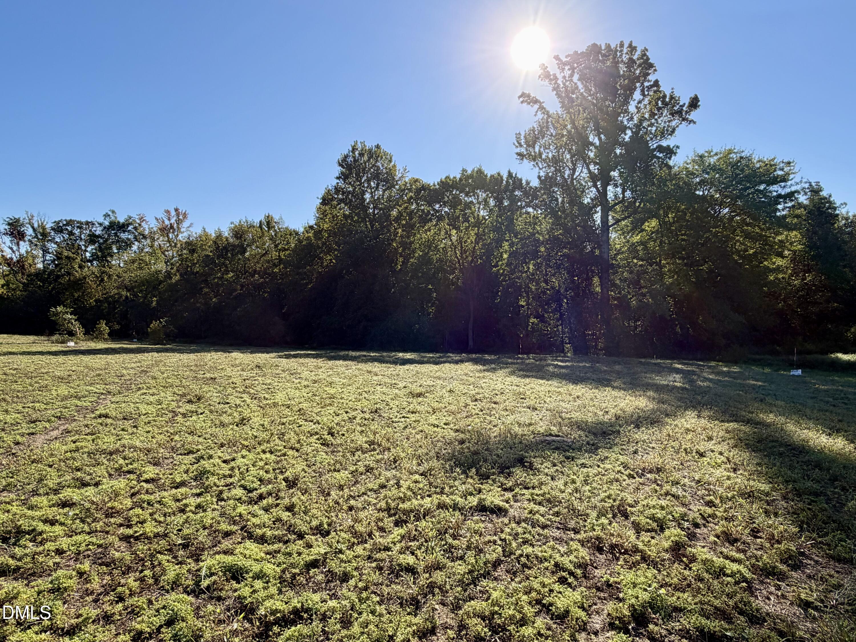 4.77 Acres Snipes Road Property Photo 1