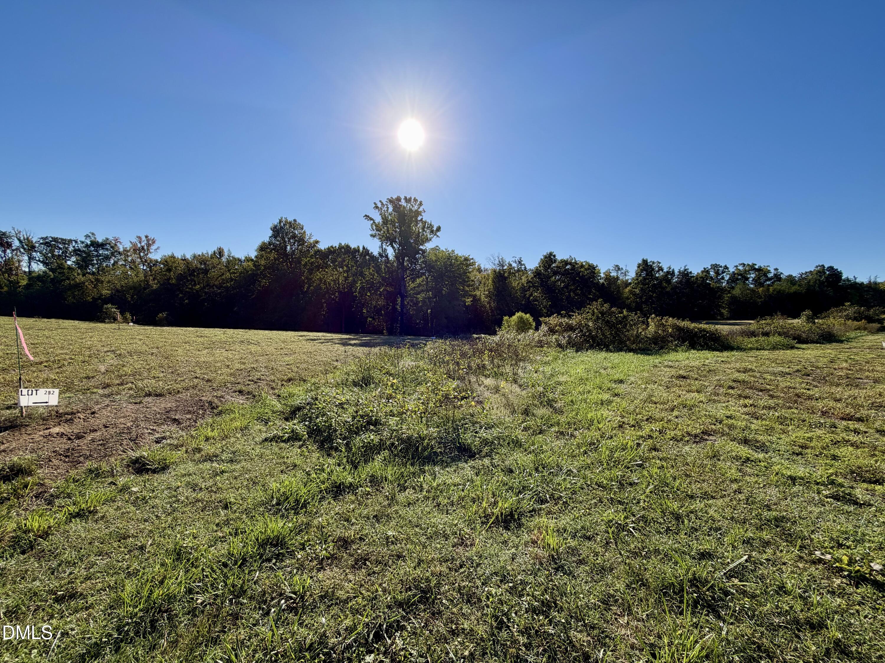 4.77 Acres Snipes Road Property Photo 3