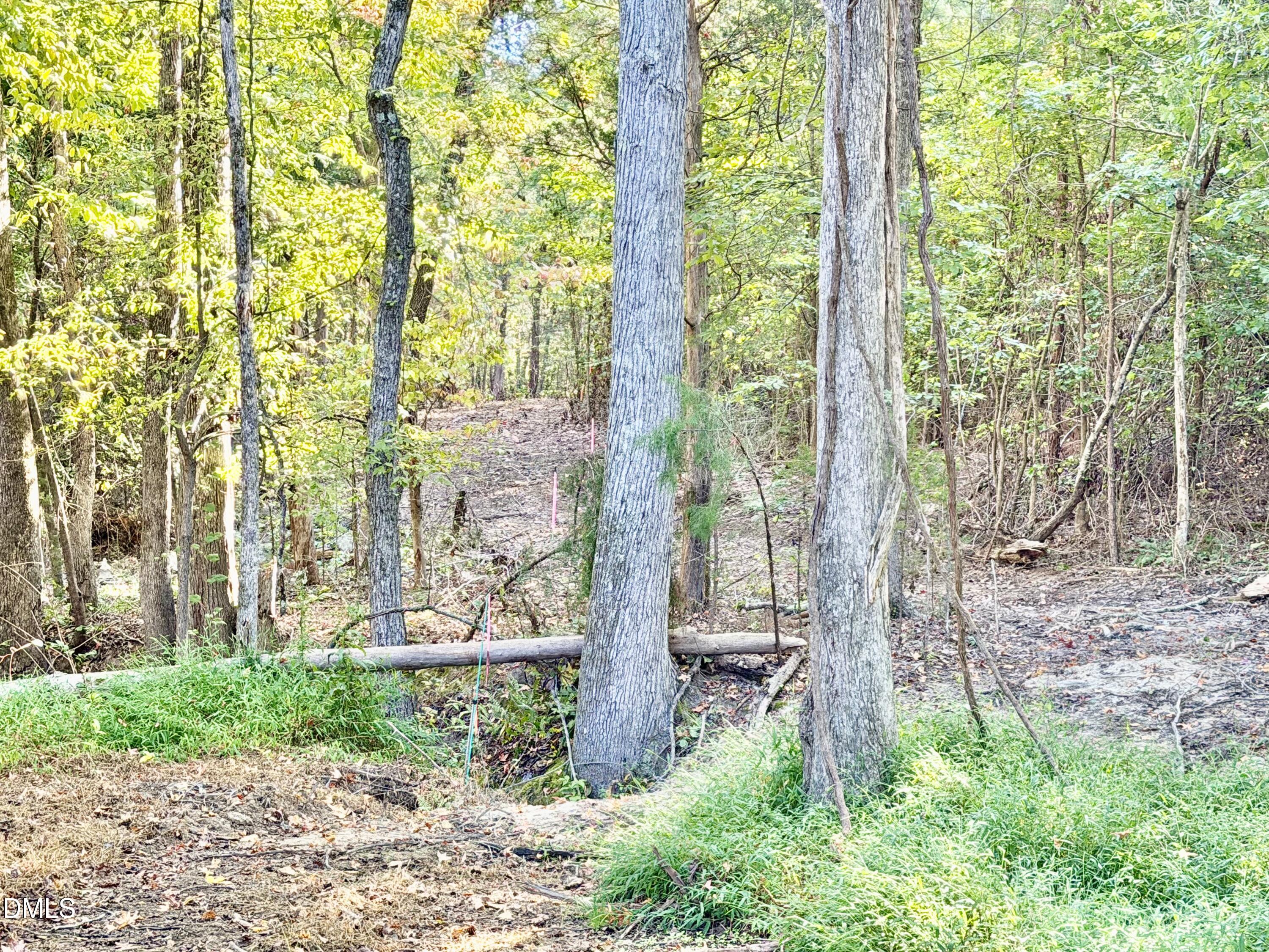 4.77 Acres Snipes Road Property Photo 6