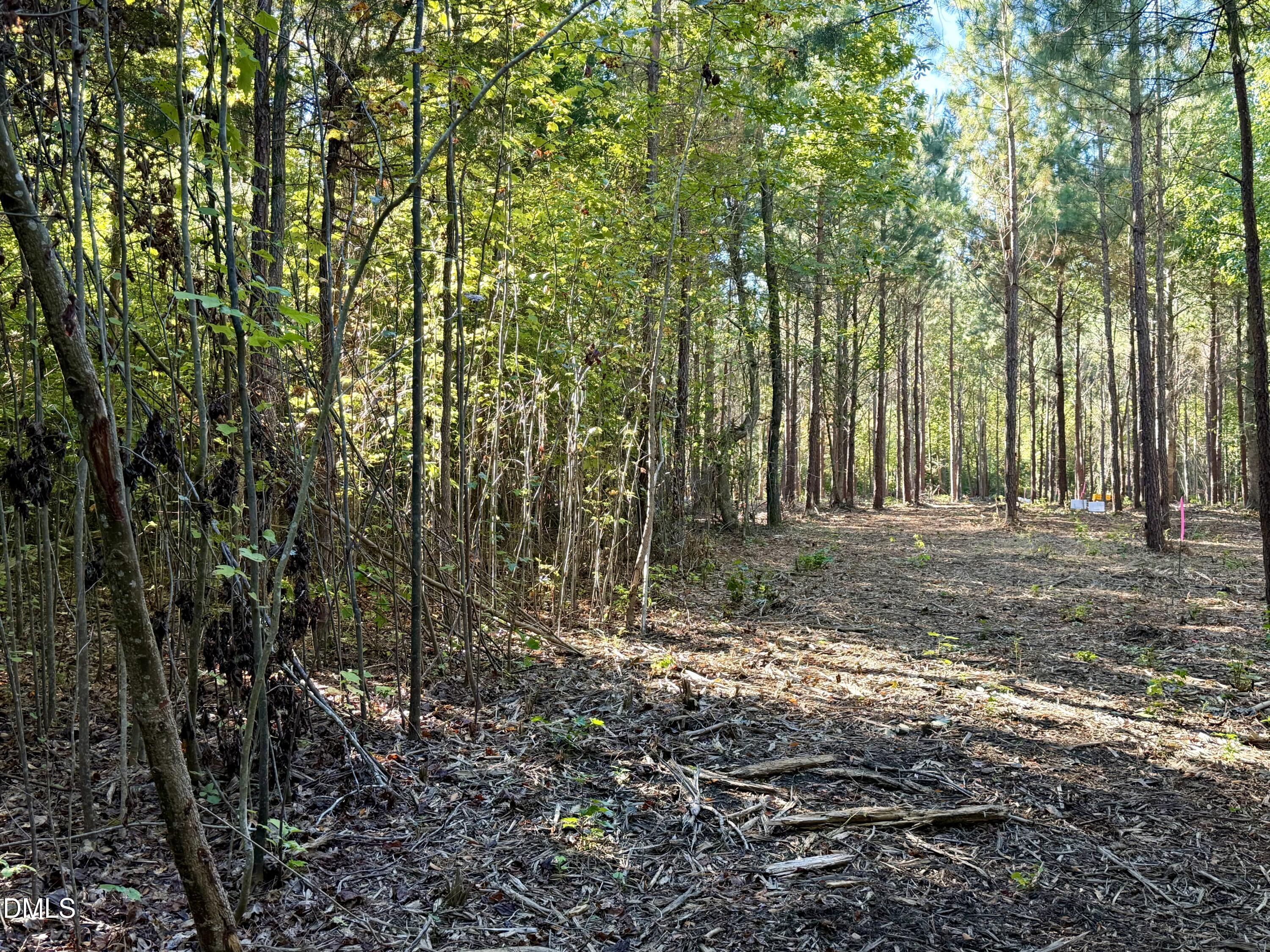 4.77 Acres Snipes Road Property Photo 7