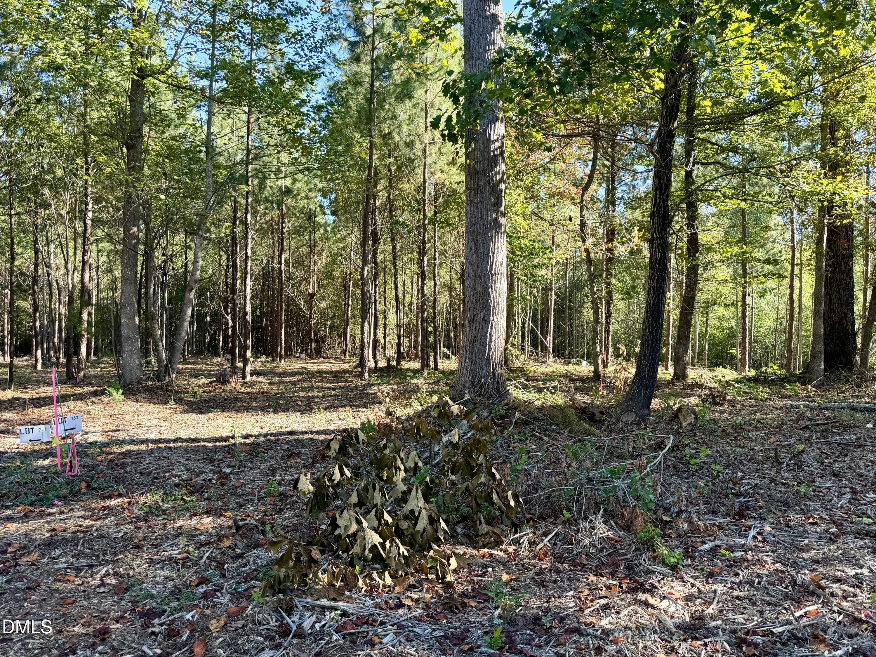 4.77 Acres Snipes Road Property Photo 8