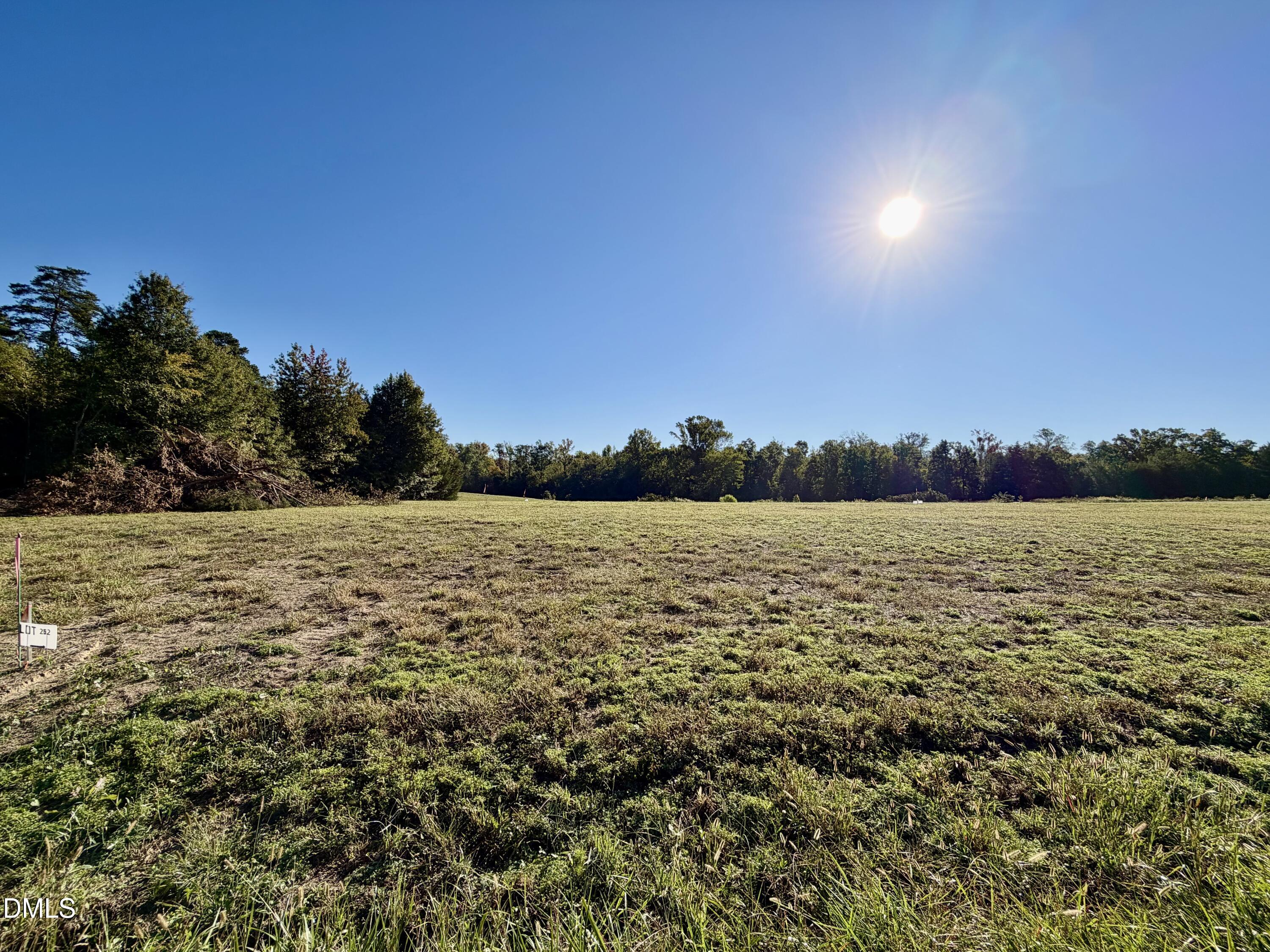 4.77 Acres Snipes Road Property Photo 9