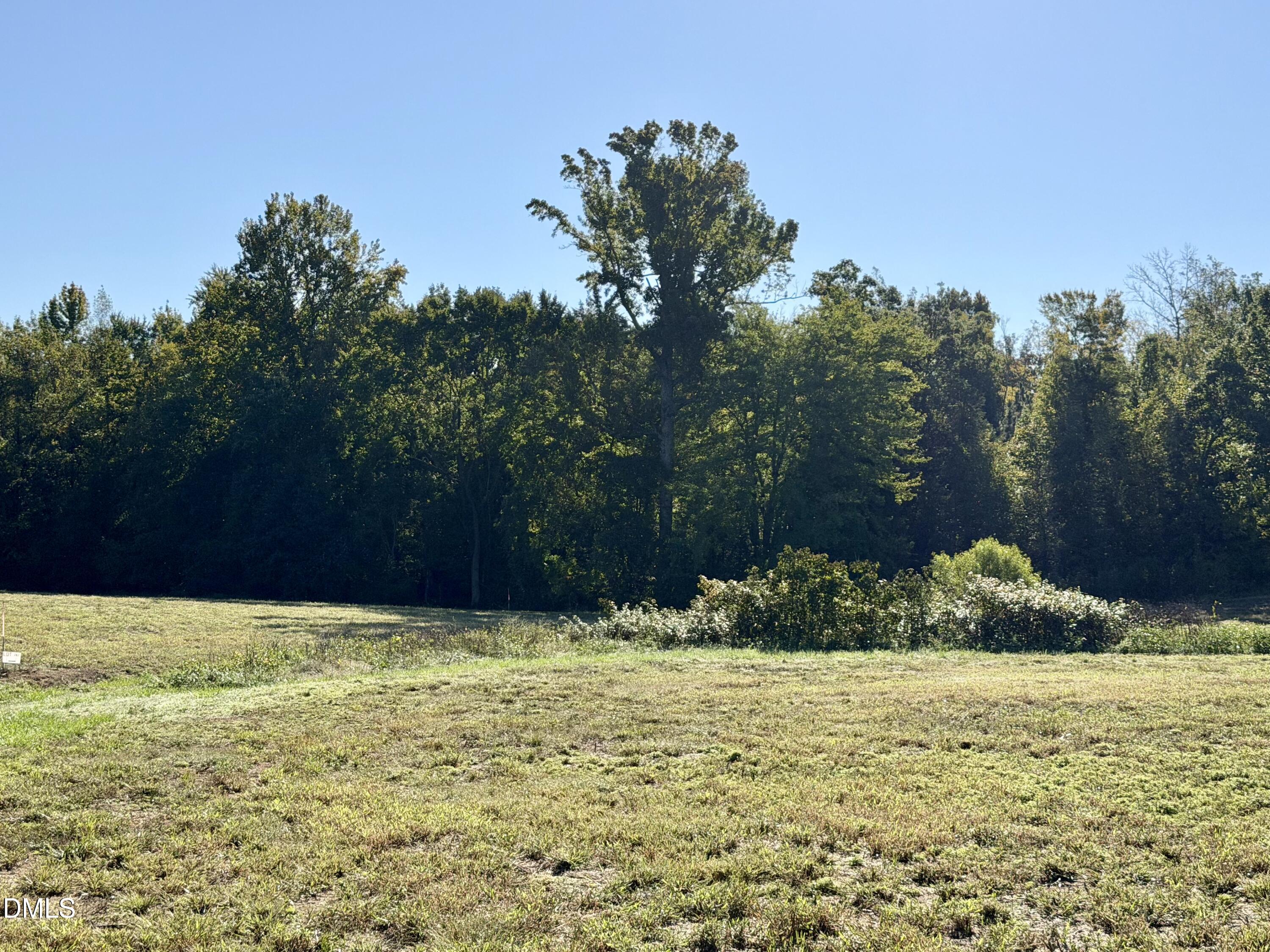 4.77 Acres Snipes Road Property Photo 10