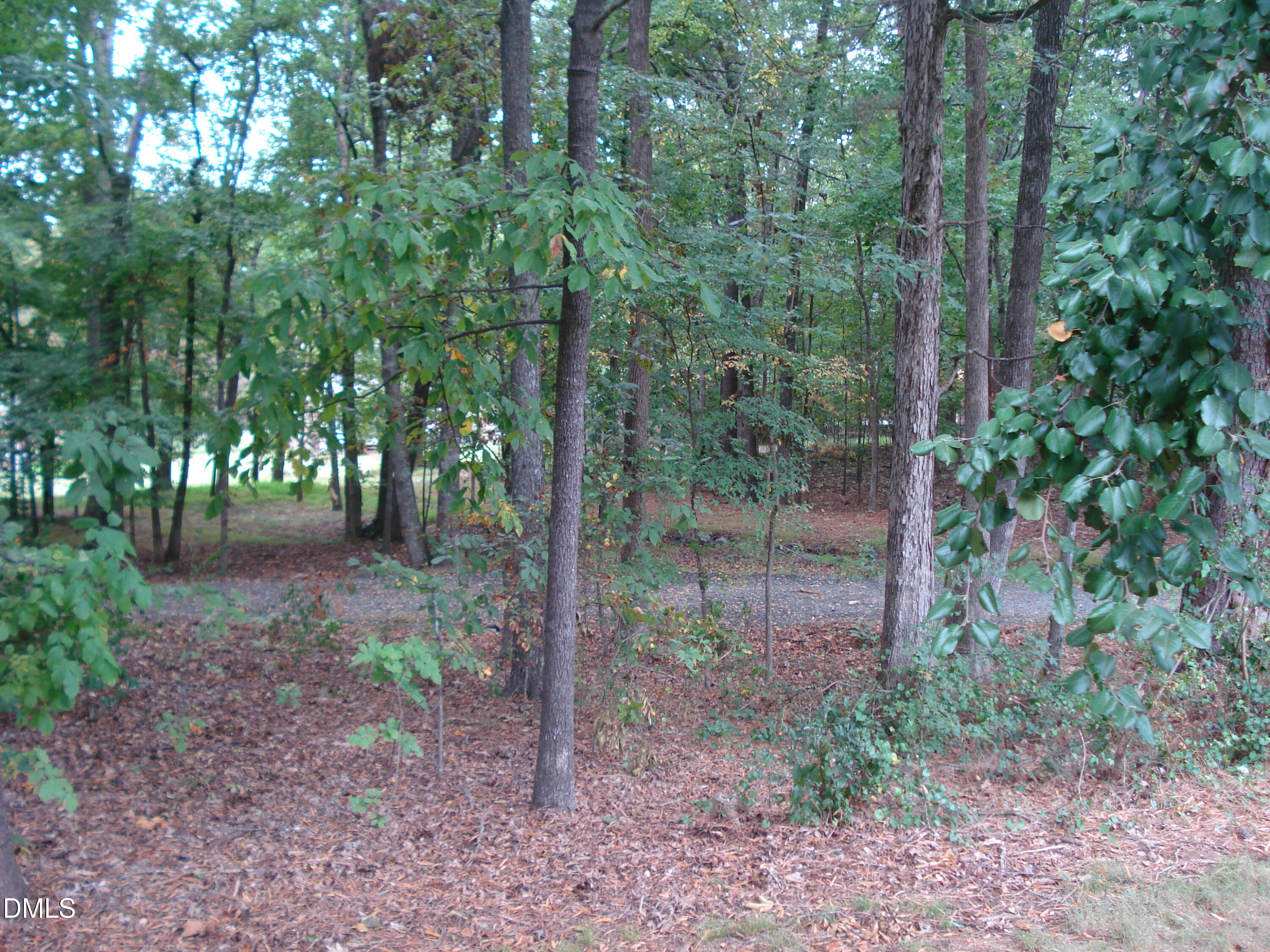 809 Brandon Road Property Photo 3