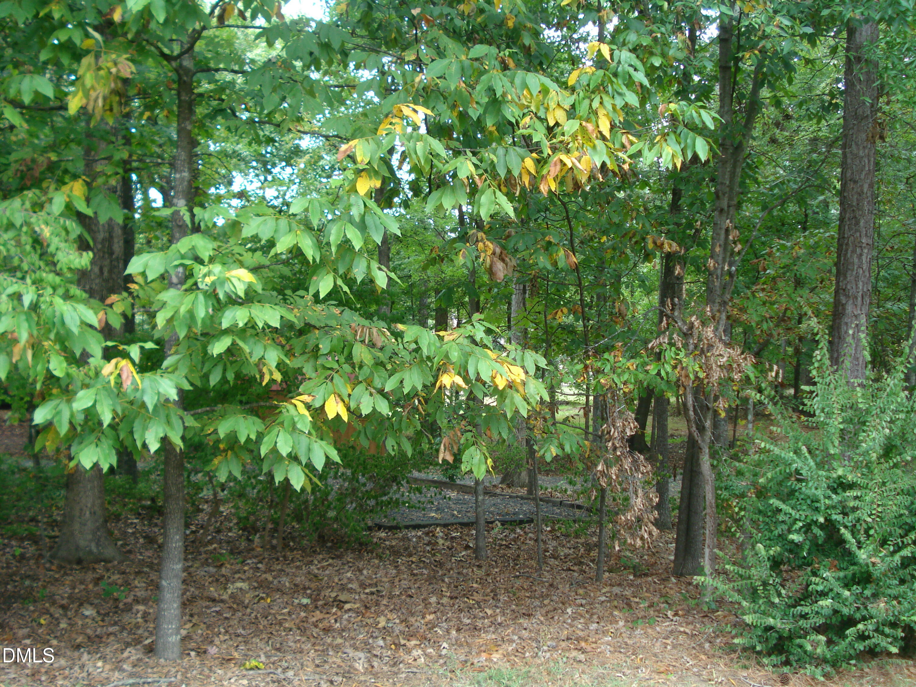 809 Brandon Road Property Photo 6