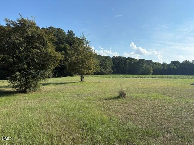 6171 Old Raleigh Road Property Photo 1