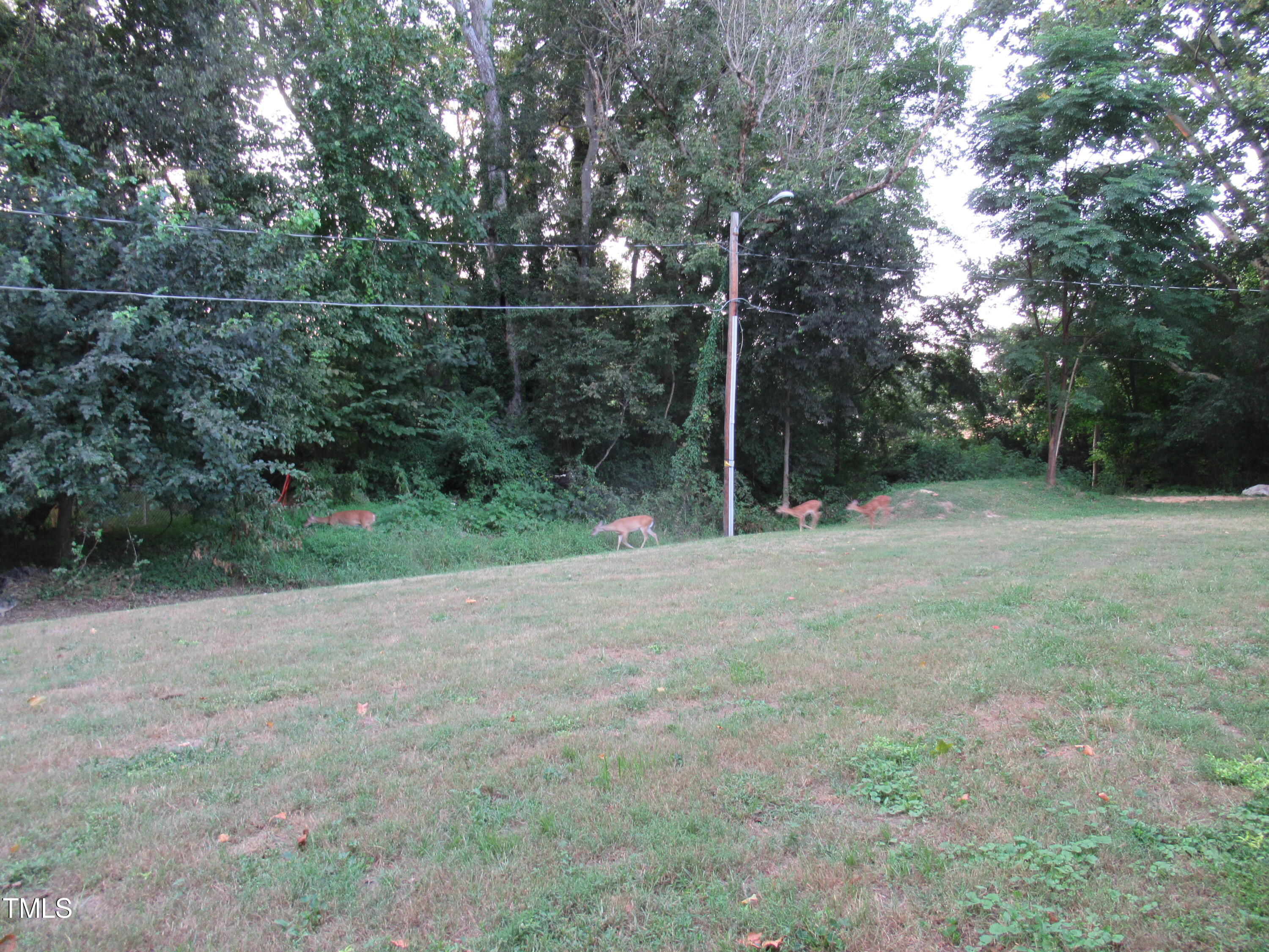 130 S Estes Drive B-11 Property Photo 20