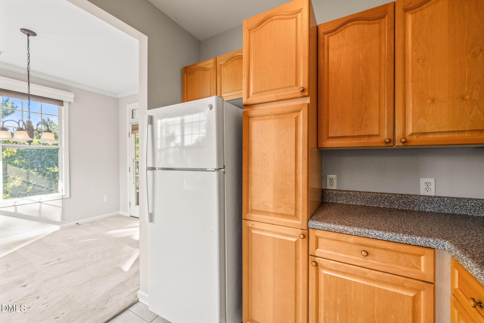 8221 Allyns Landing Way Property Photo 18