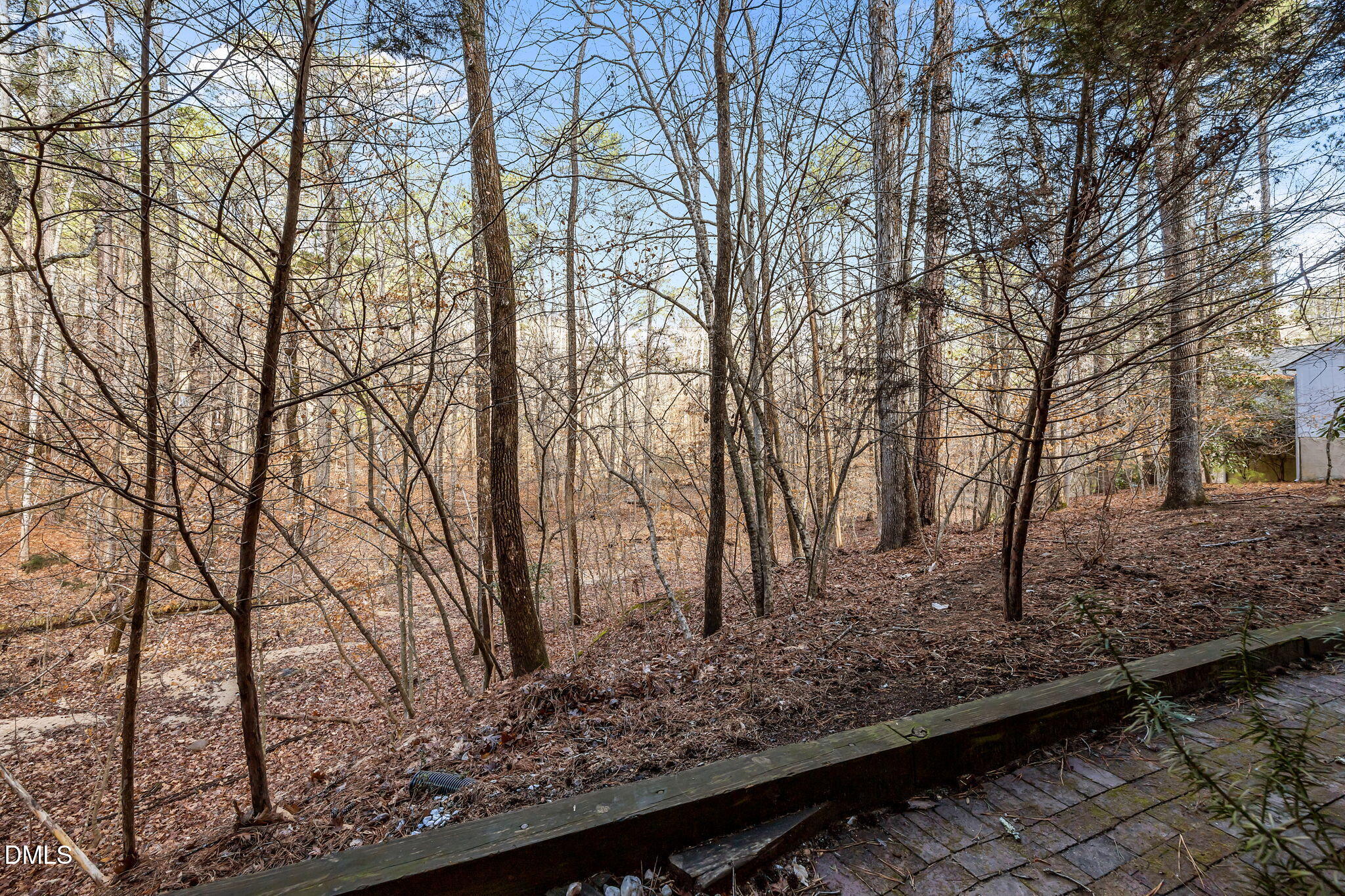 246 Fox Ridge Property Photo 28