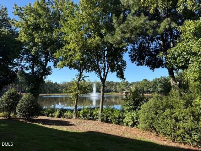 8241 Allyns Landing Way Property Photo 22