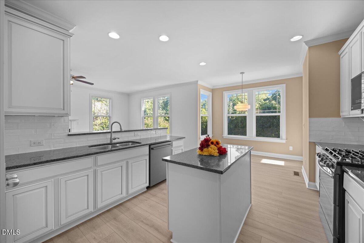 1013 Palace Garden Way Property Photo 12