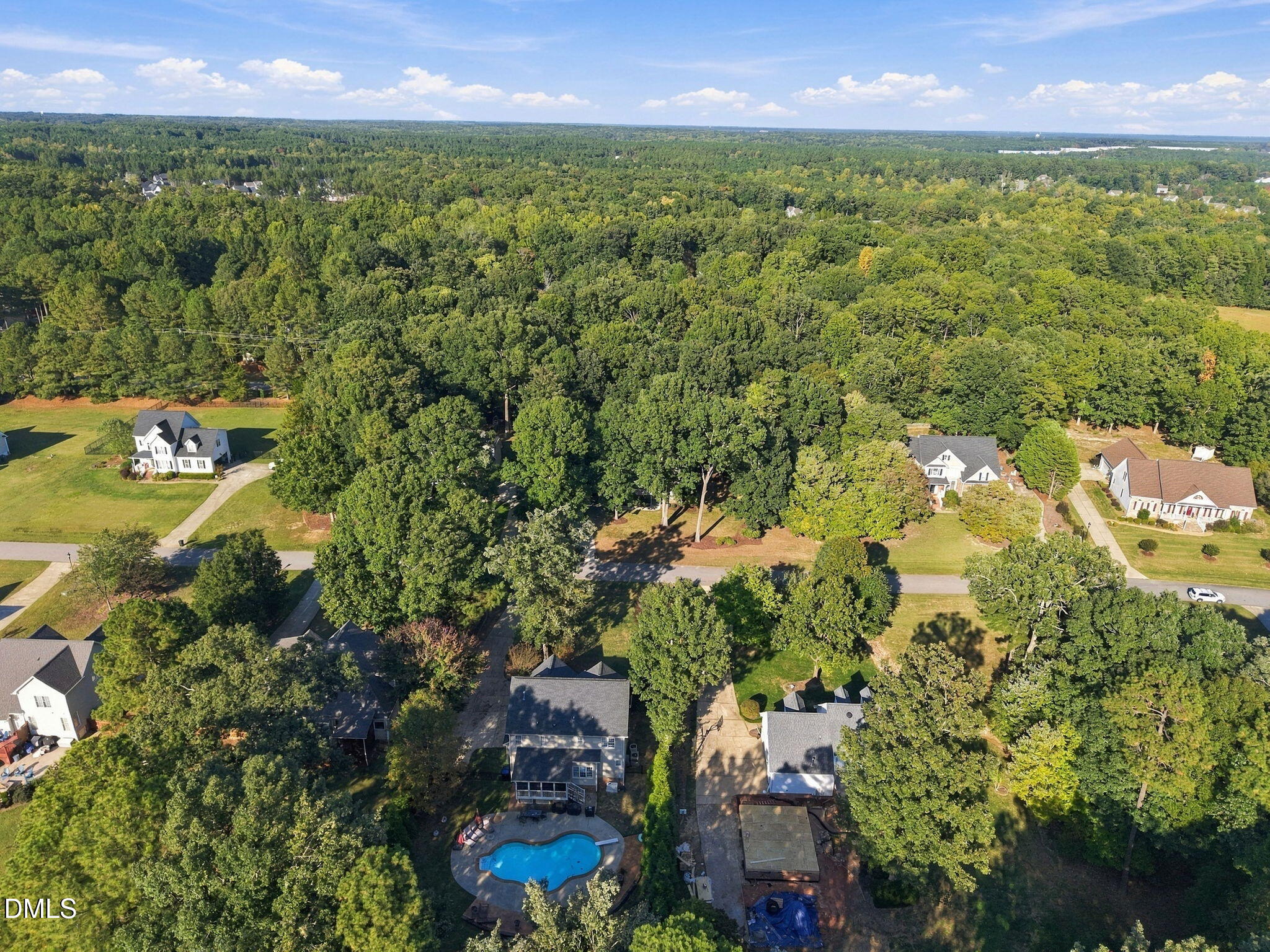 125 Scotts Pine Circle Property Photo 44