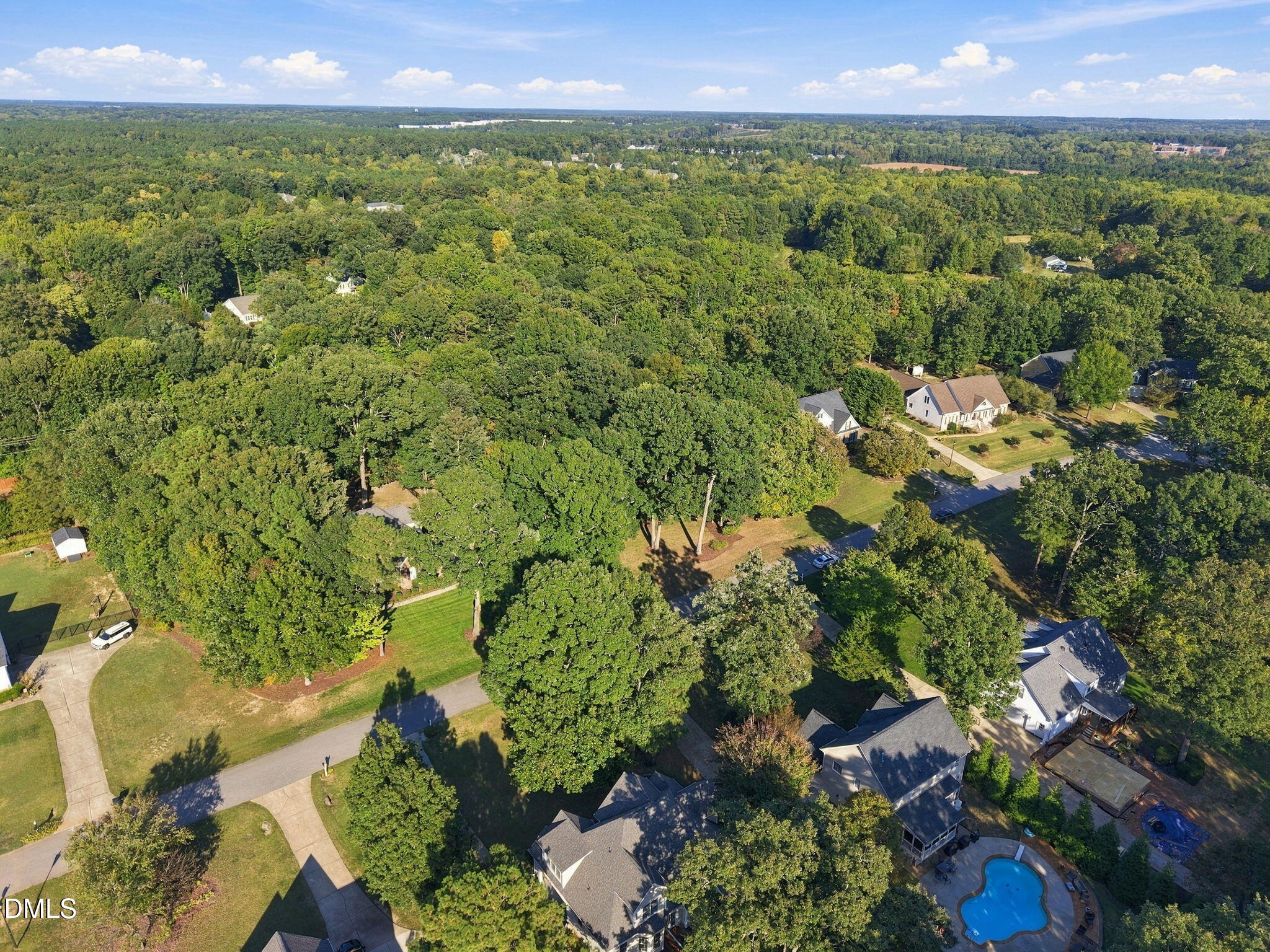 125 Scotts Pine Circle Property Photo 47