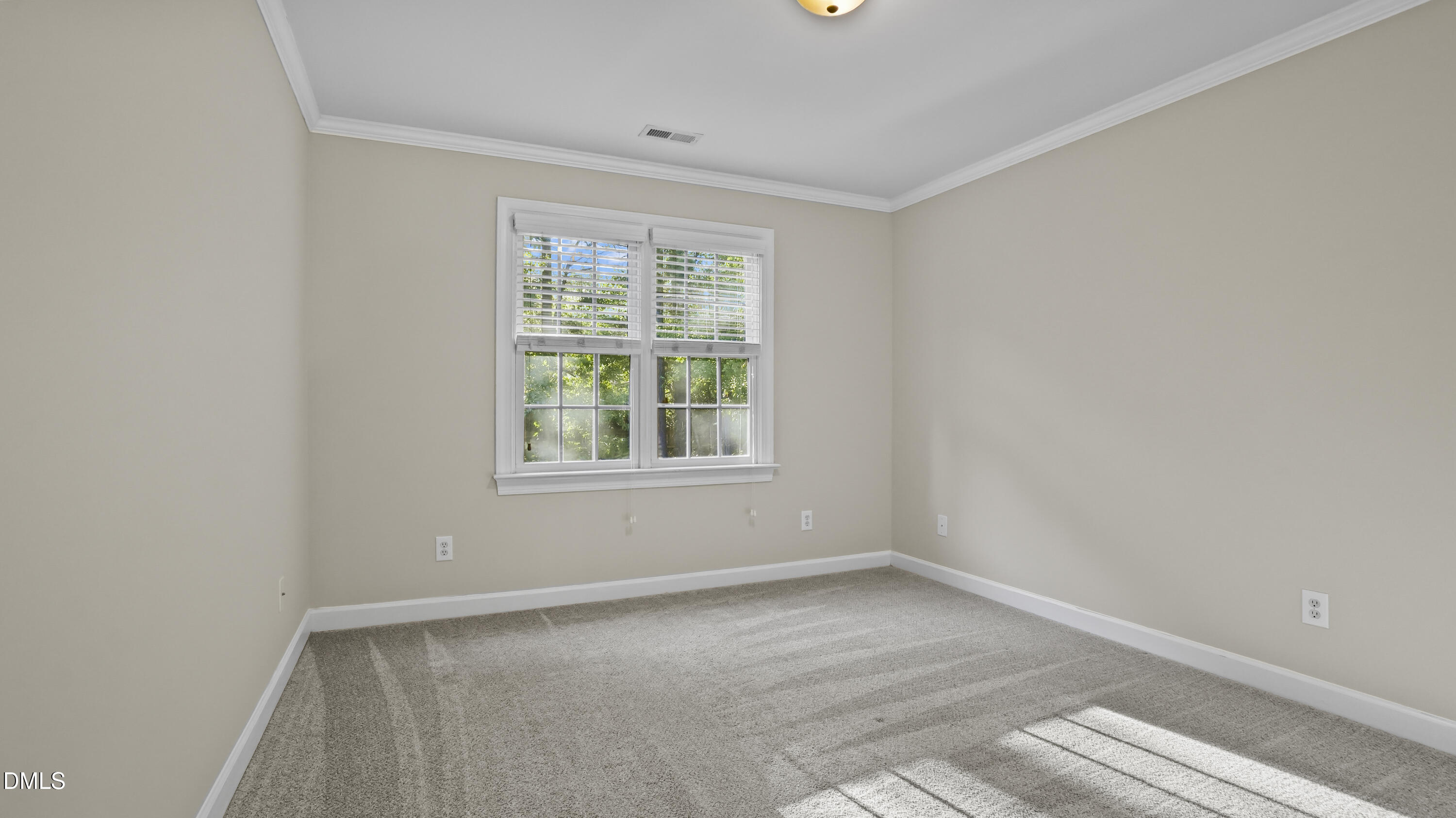 205 Saranac Ridge Drive Property Photo 10