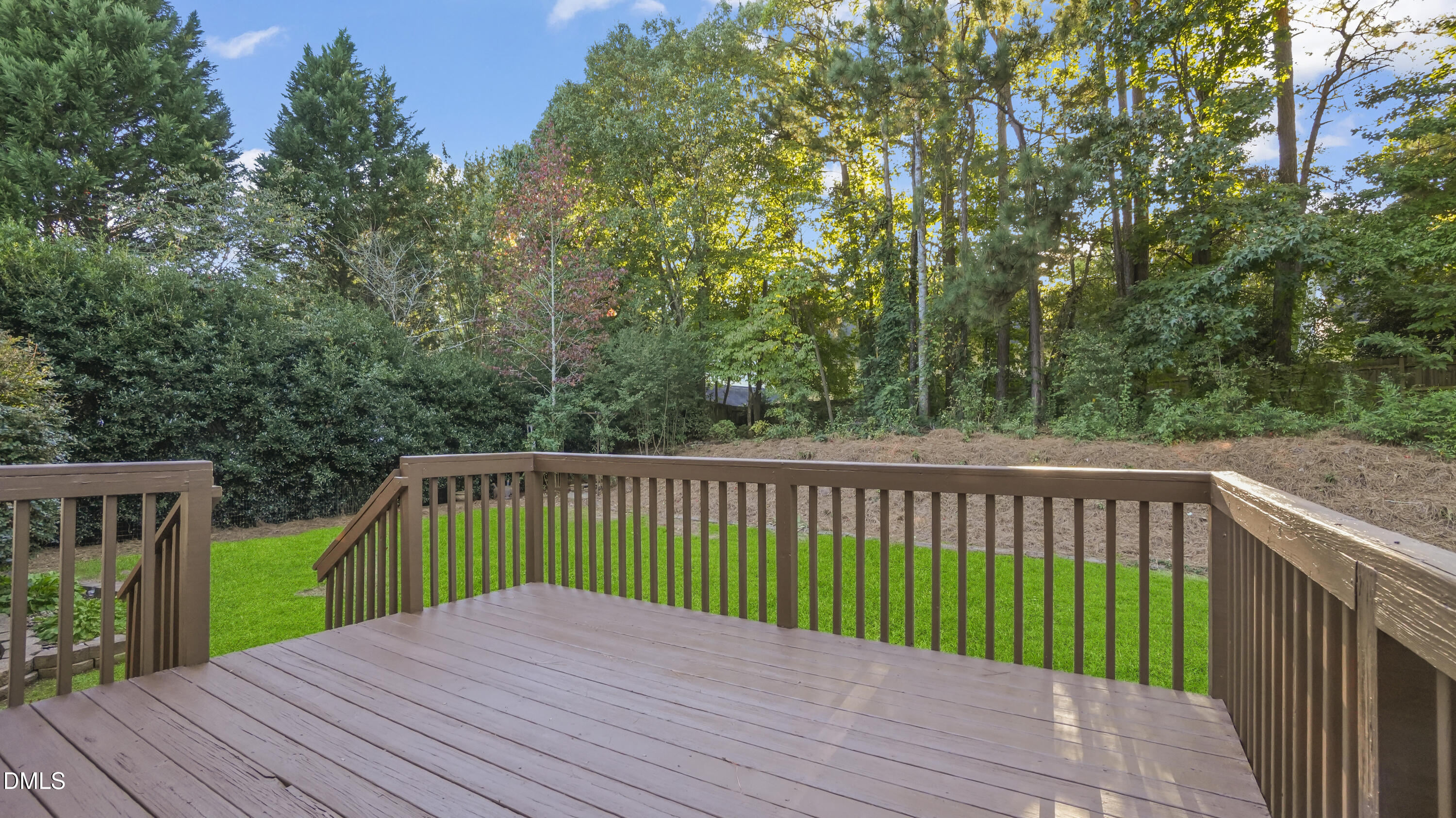 205 Saranac Ridge Drive Property Photo 34