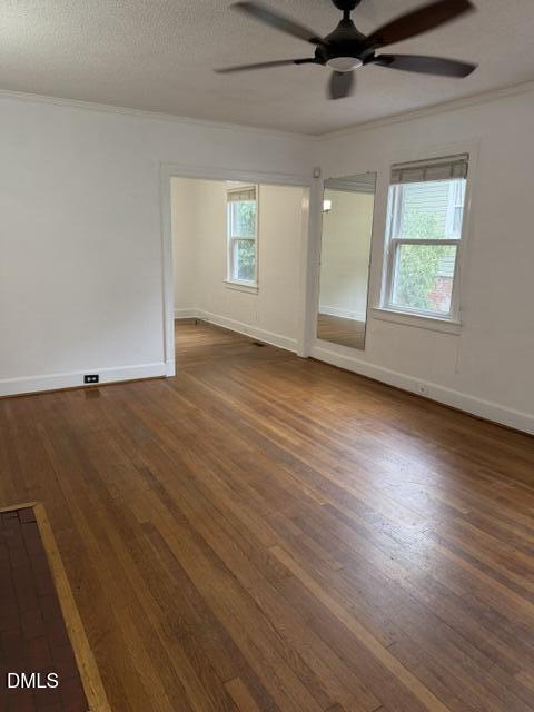 803 Eva Street Property Photo 10
