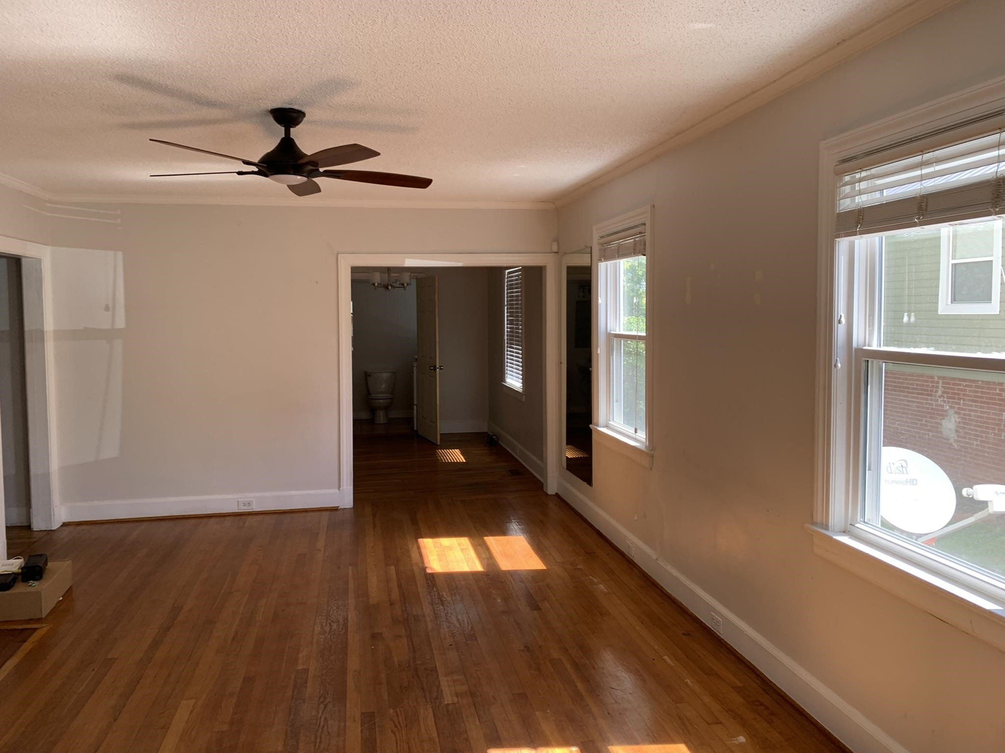 803 Eva Street Property Photo 14