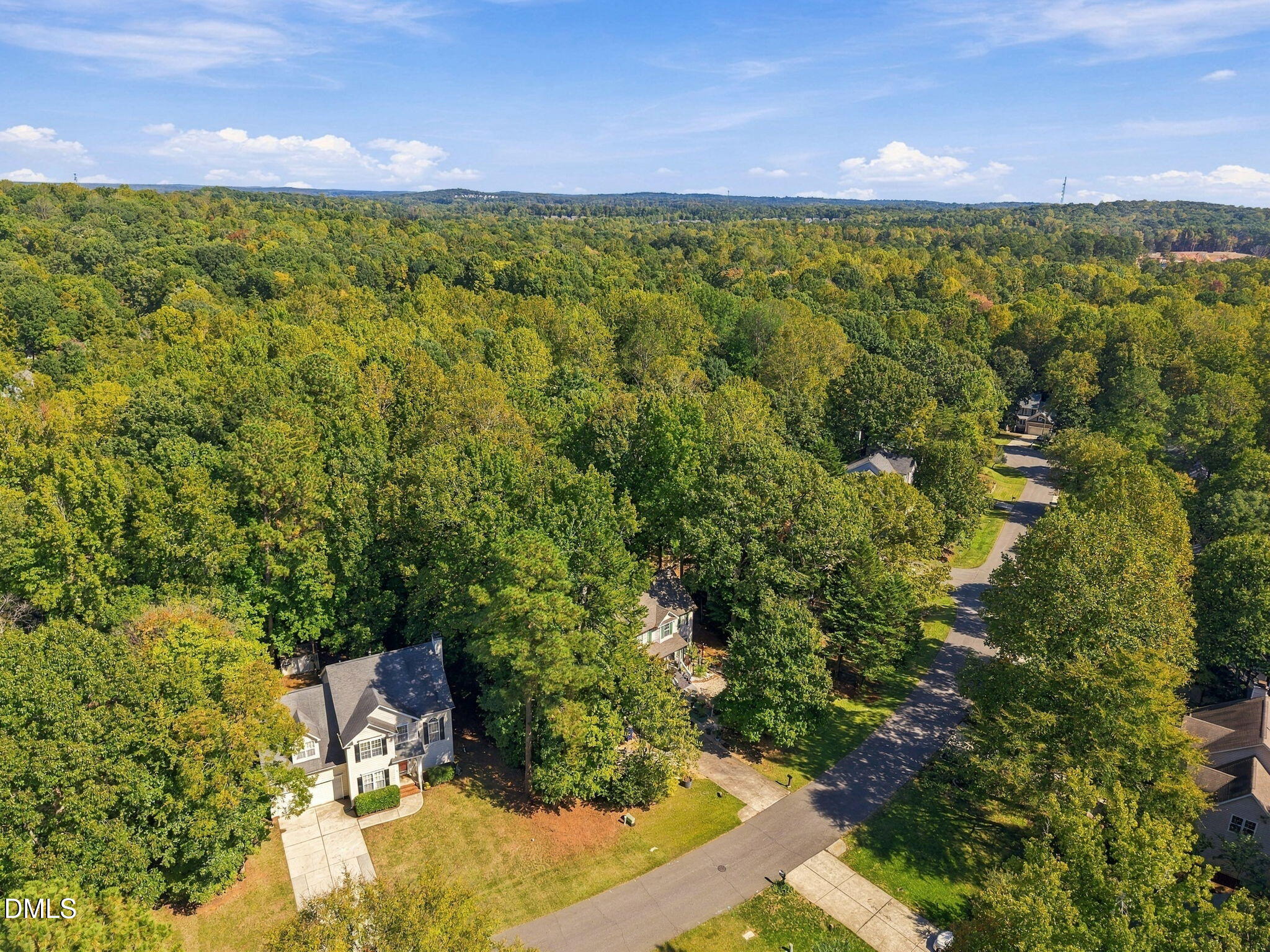 319 County Seat Drive Property Photo 3