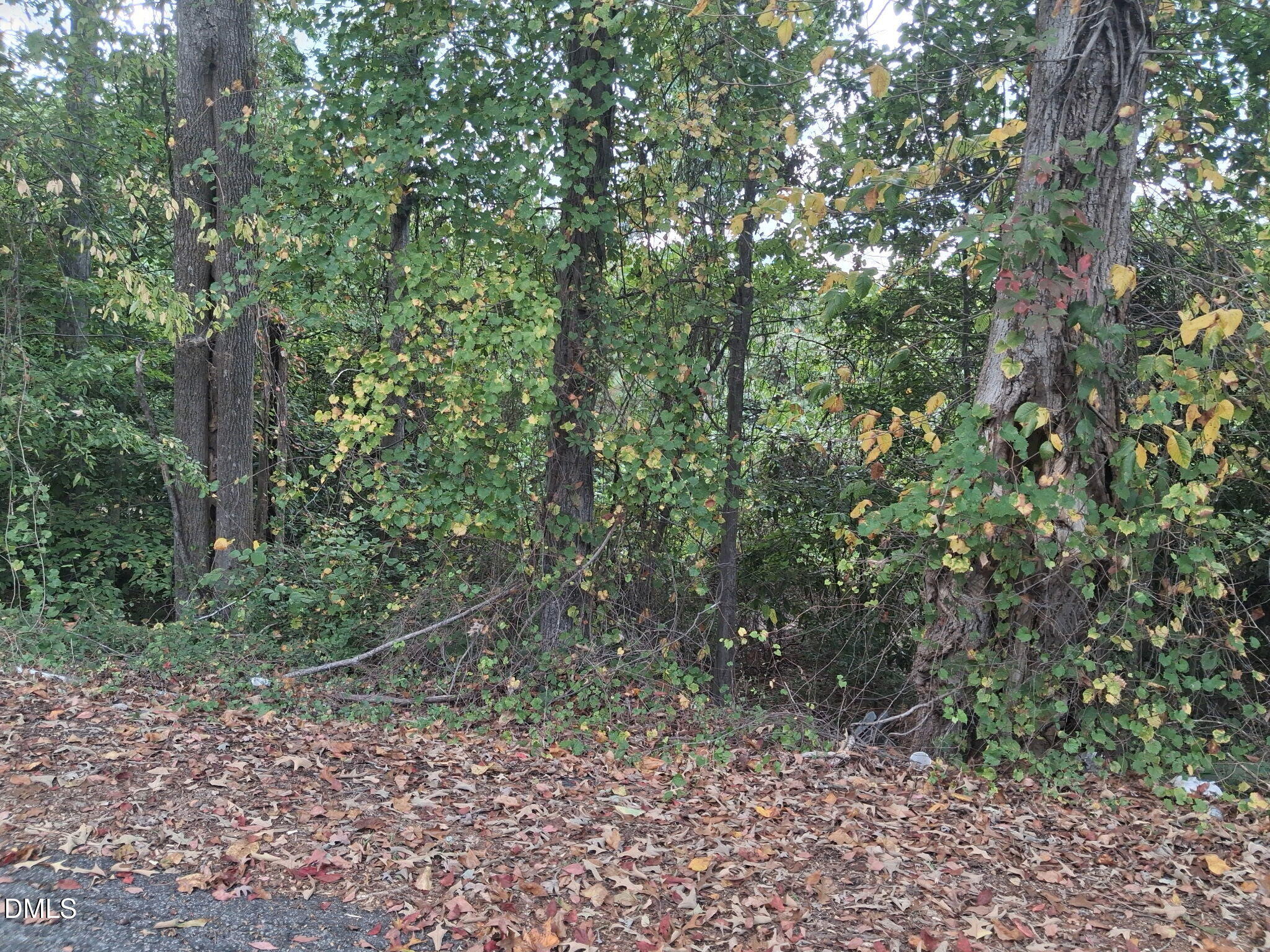 100 Grogan Street Property Photo 2