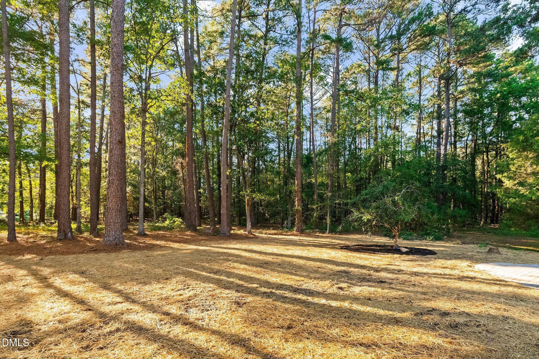 6350 Beaver Creek Road Property Photo 19