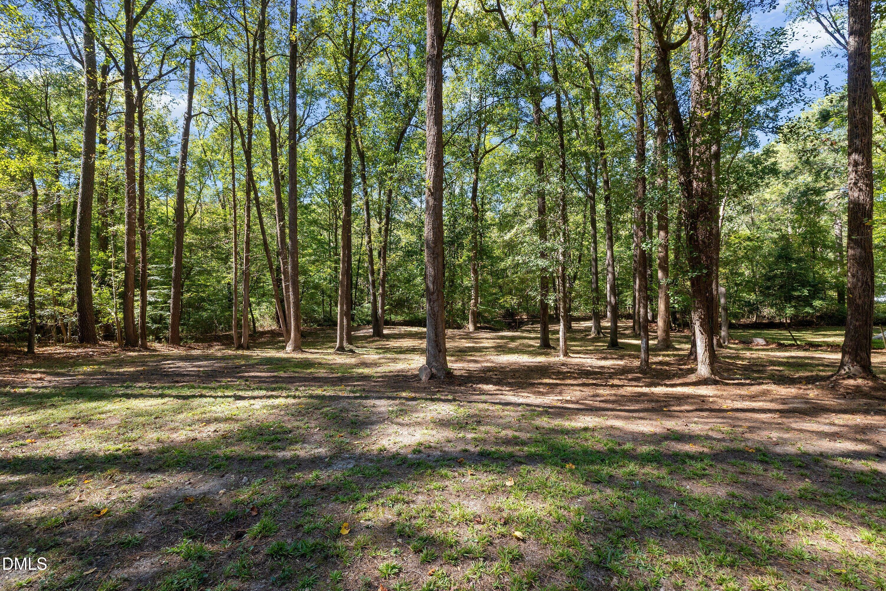 8604 Bostian Drive Property Photo 4