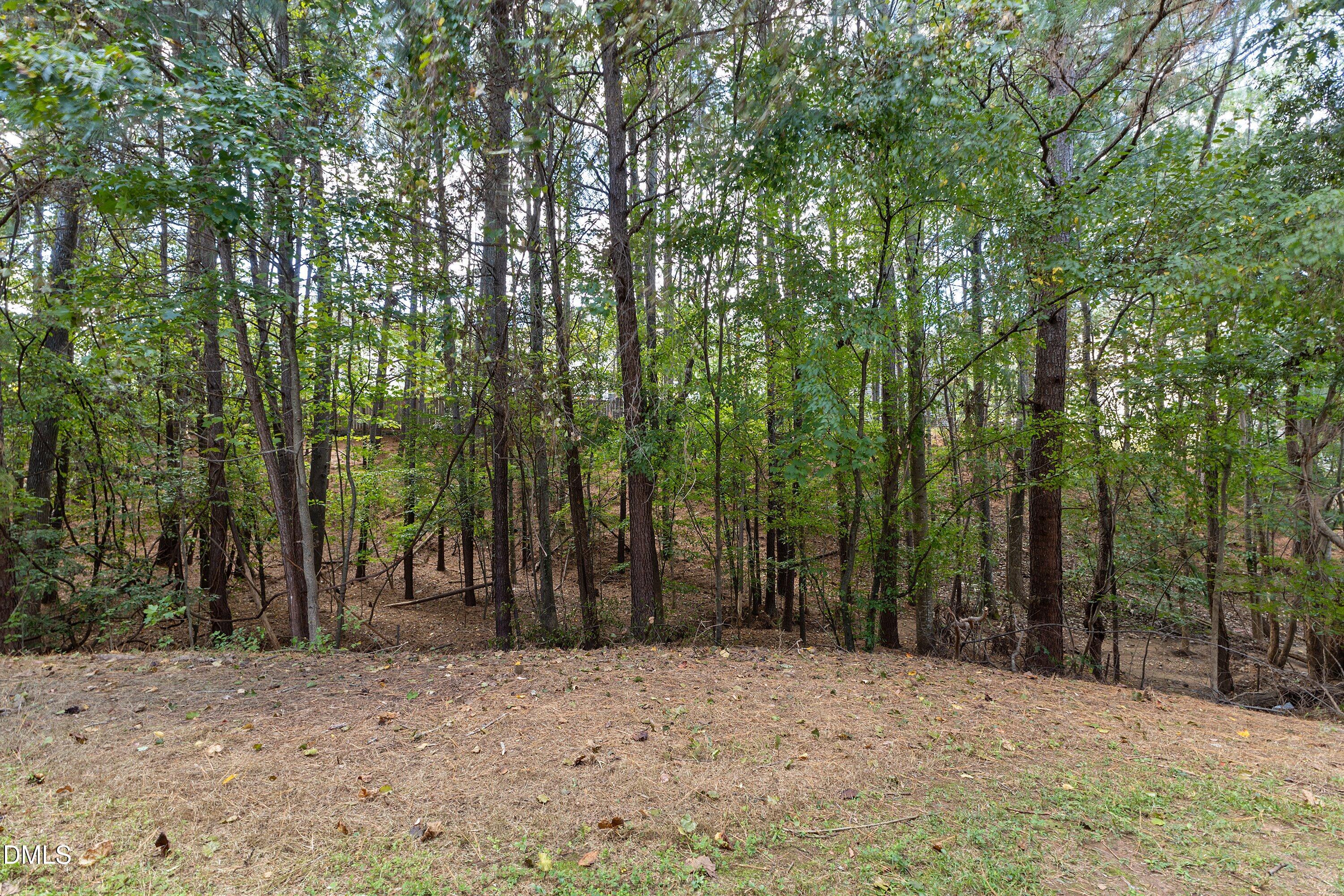 517 Texanna Way Property Photo 5